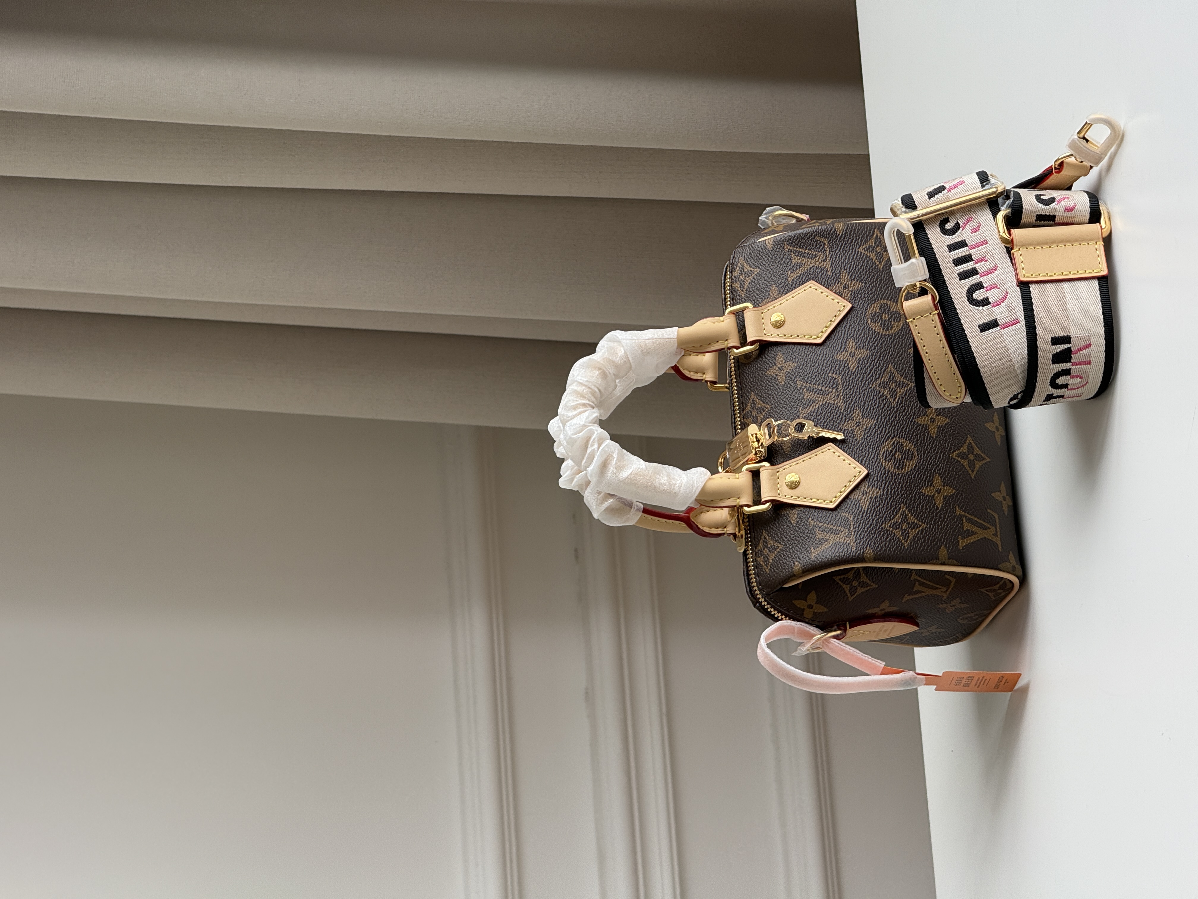 Louis Vuitton Speedy Bandoulière 20 Monogram
