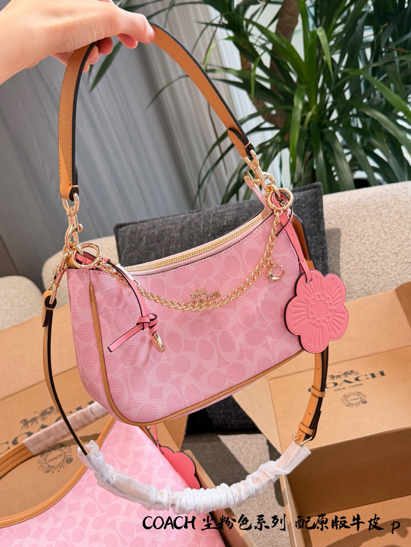 Women Handbag CEA20 Teri Shoulder Bag In Signature Canvas With Charms