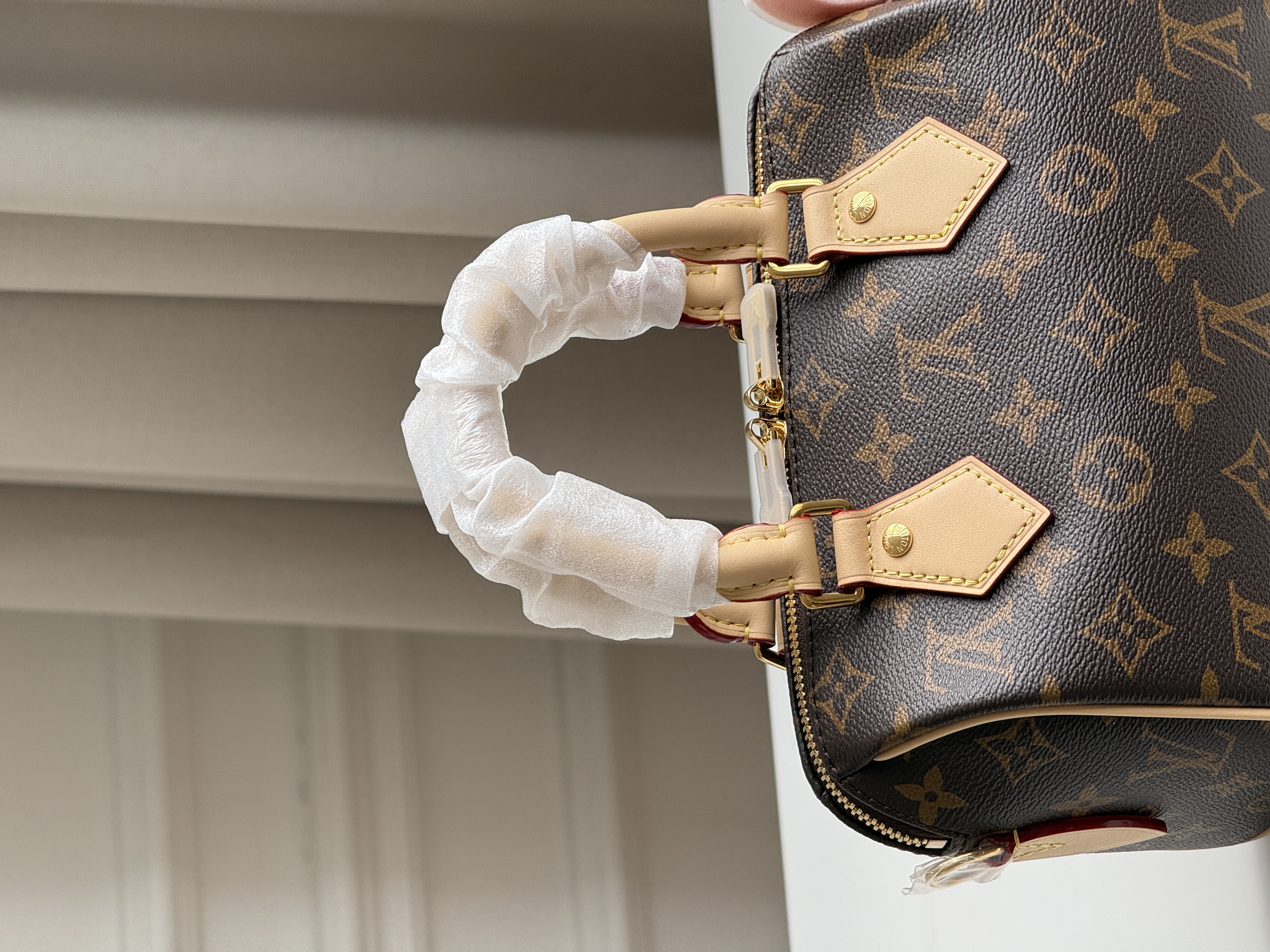 Louis Vuitton Speedy Bandoulière 20 Monogram