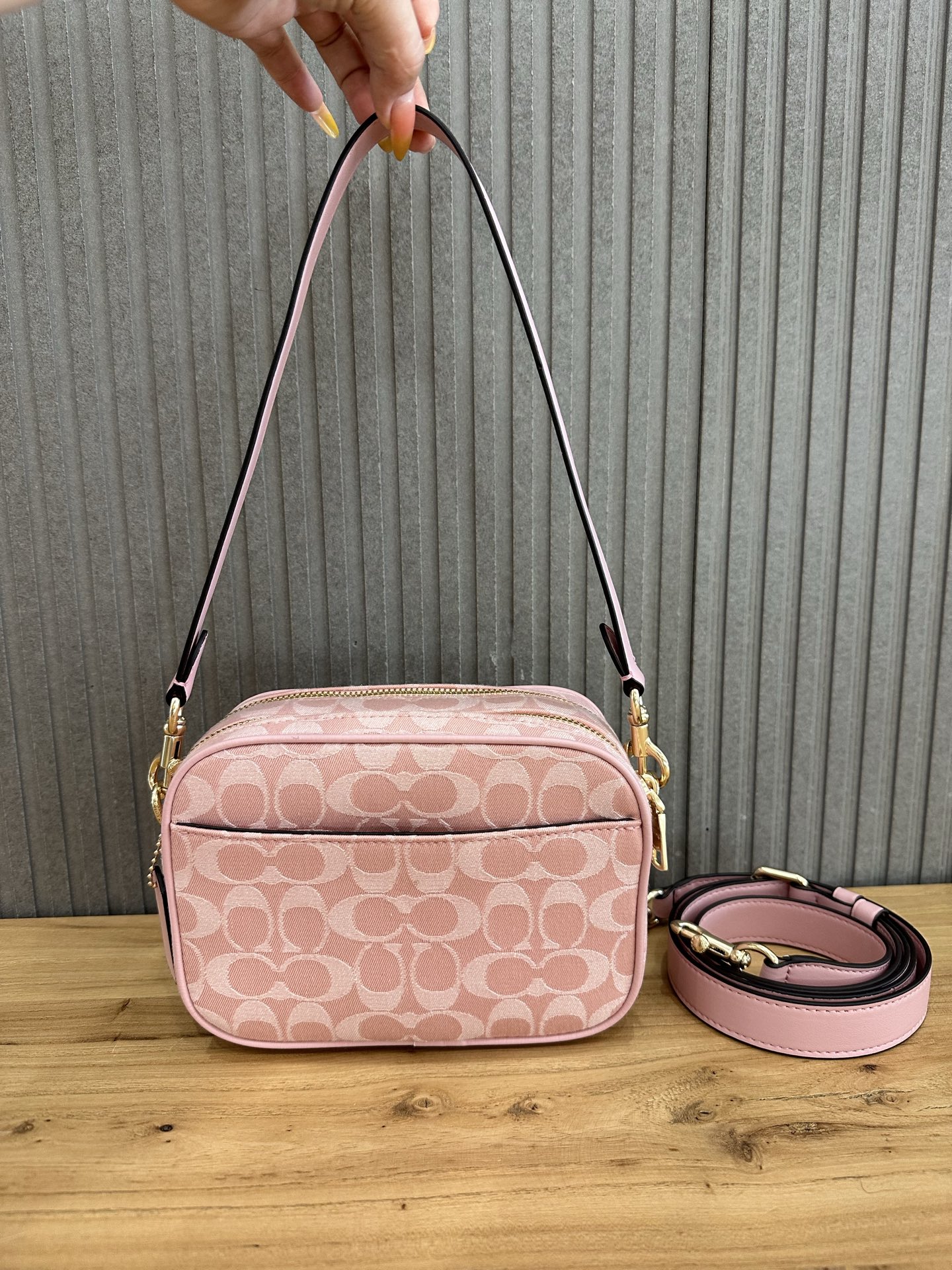 Women Handbag CEN19 Mini Carey Crossbody Camera Bag