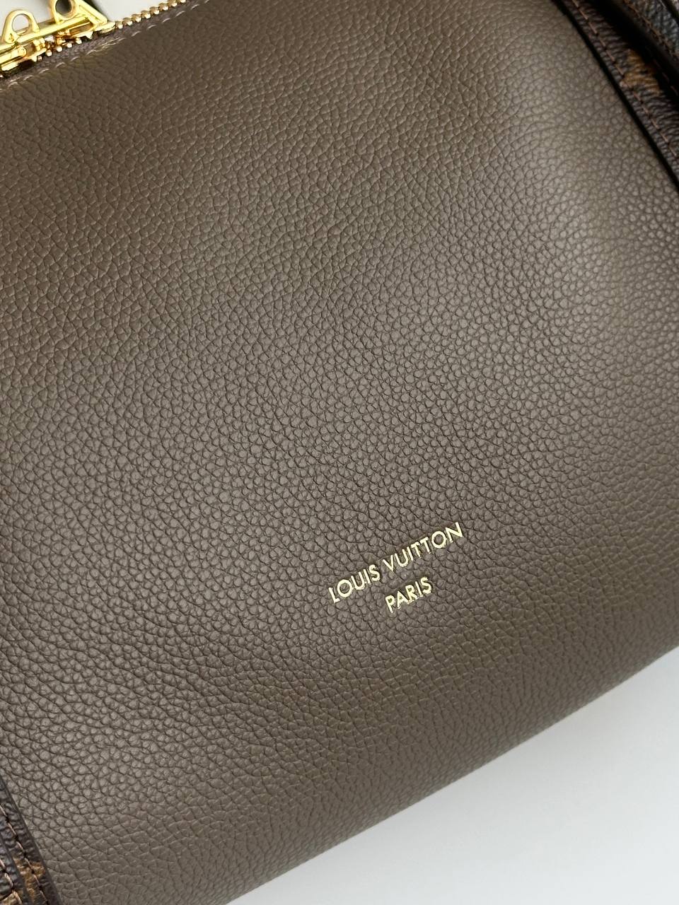 Louis Vuitton Grey Green Grained Leather Monogram Trim Soft Speedy Shoulder & Crossbody Bag