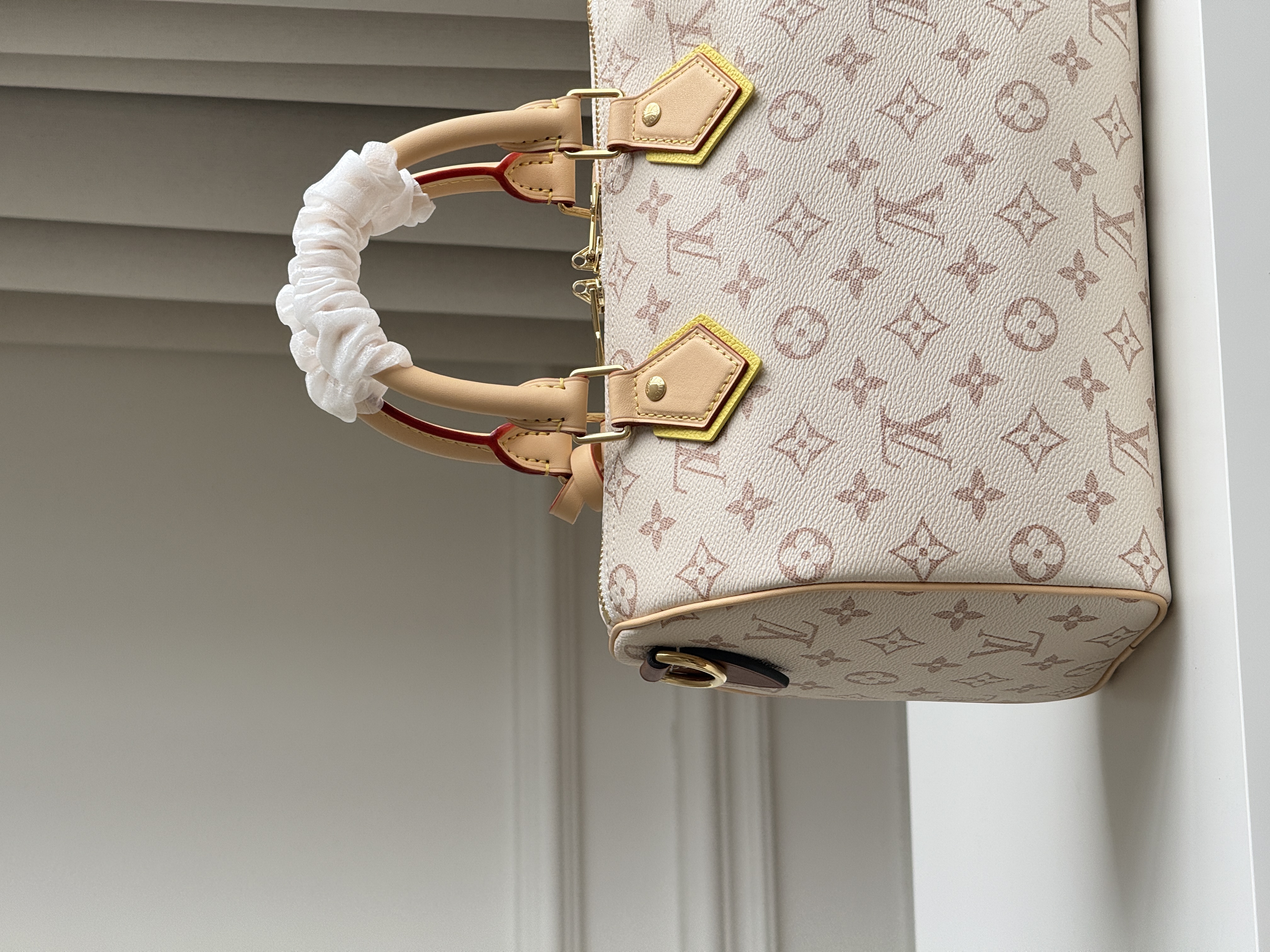 Louis Vuitton Speedy 25 Dune Monogram Pillow Bag