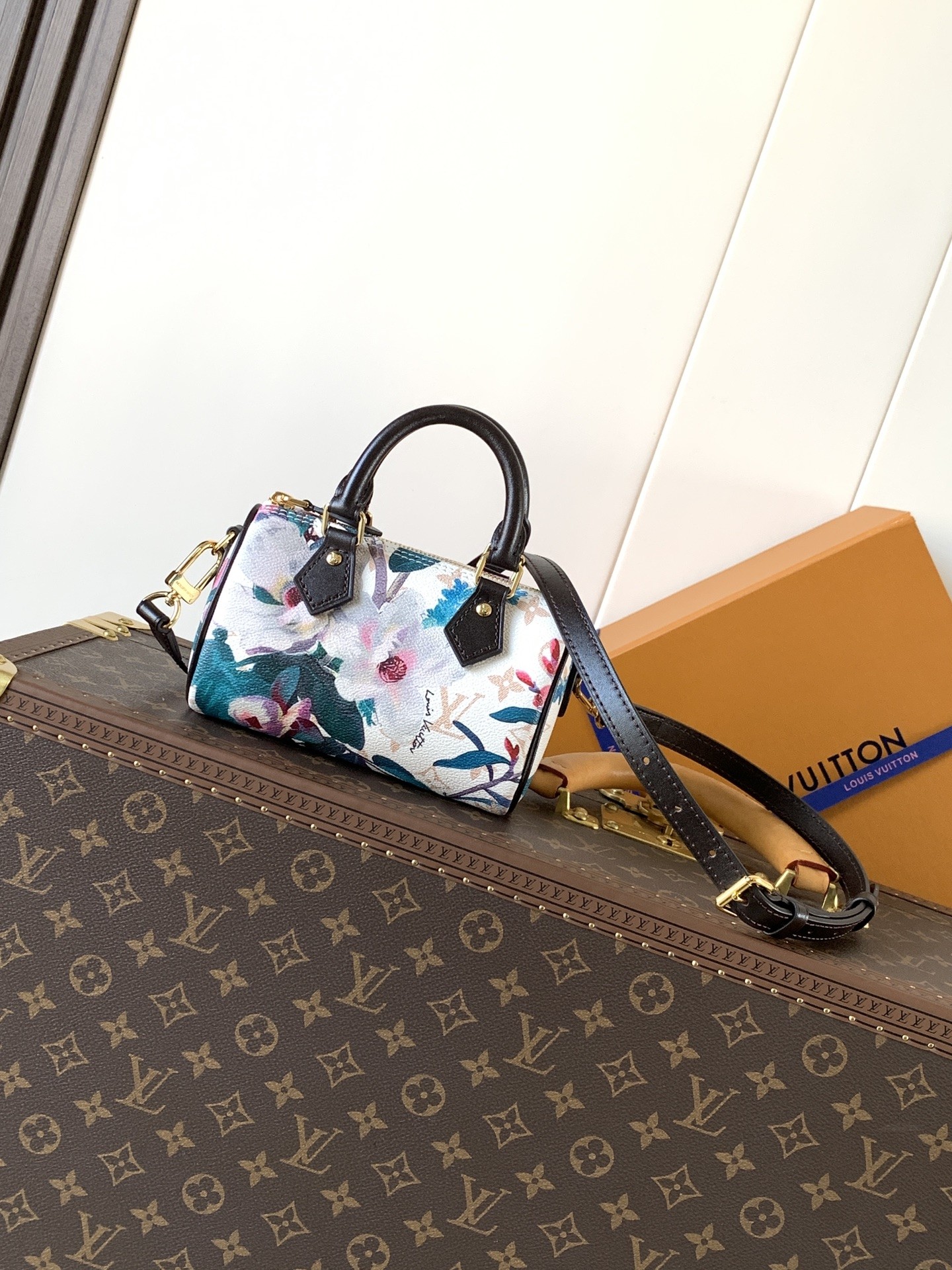 LV Nano Speedy Bag