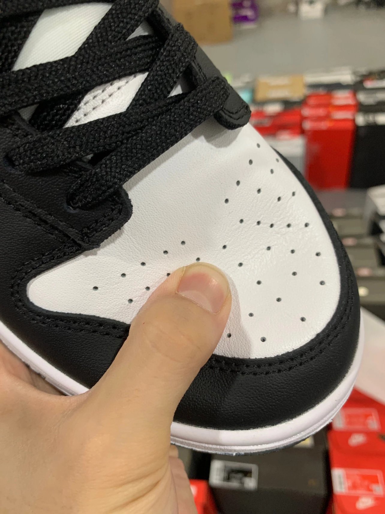 Nike Dunk Low Penda Black & White Color