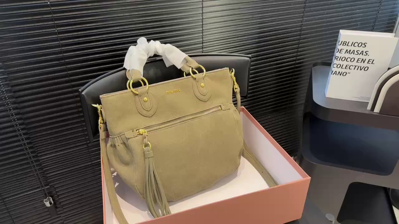 Miu Miu handbag