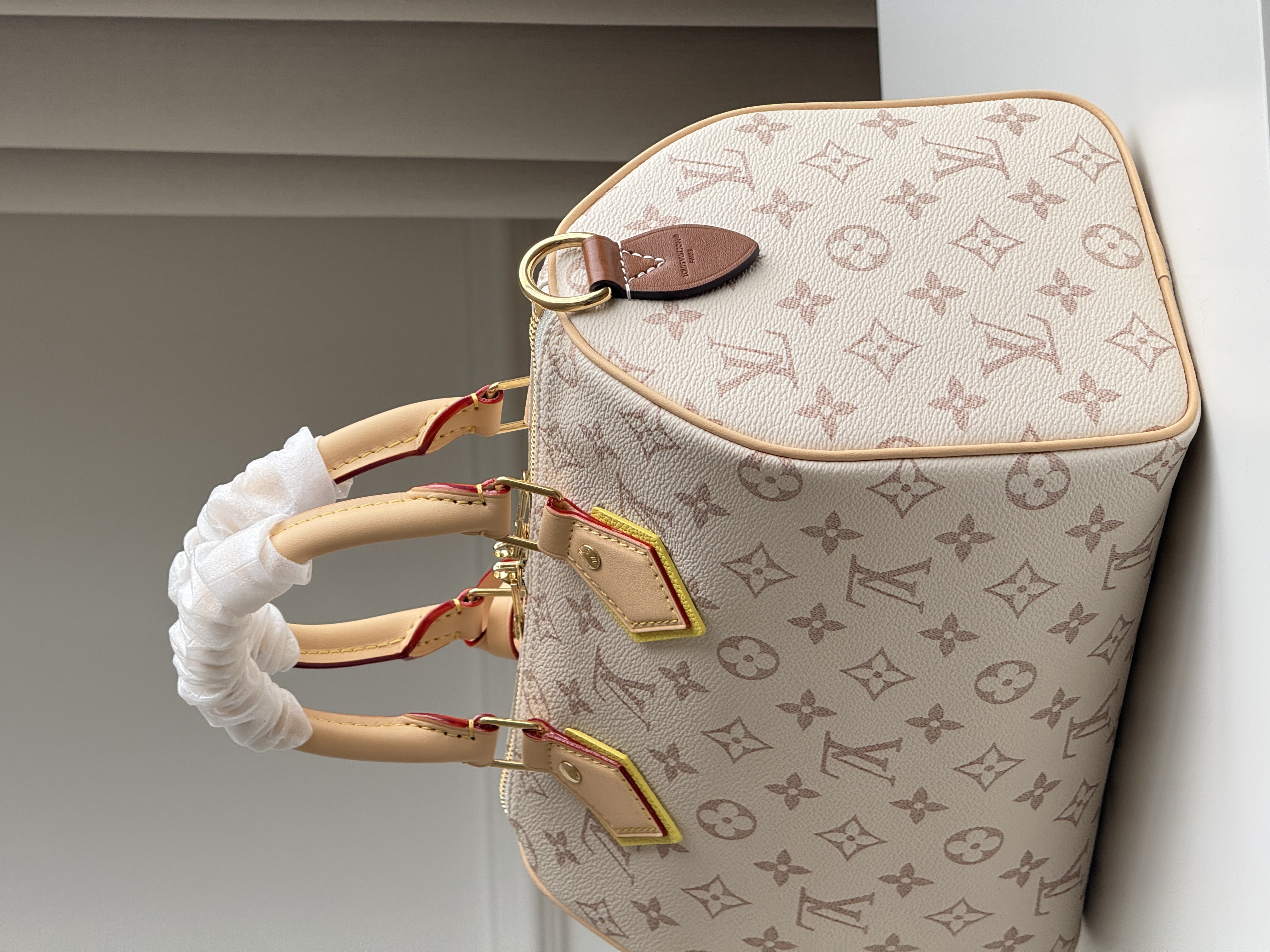 Louis Vuitton Speedy 25 Dune Monogram Pillow Bag