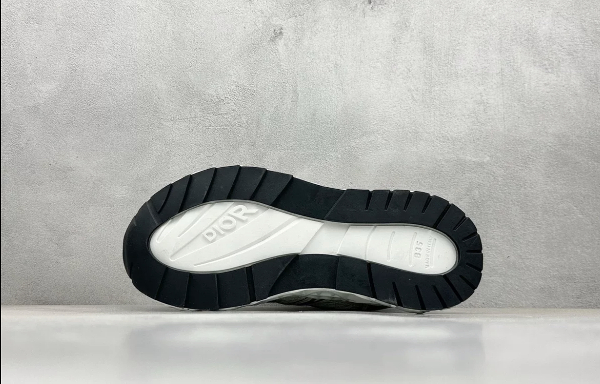 Dior B35 Sneaker white color