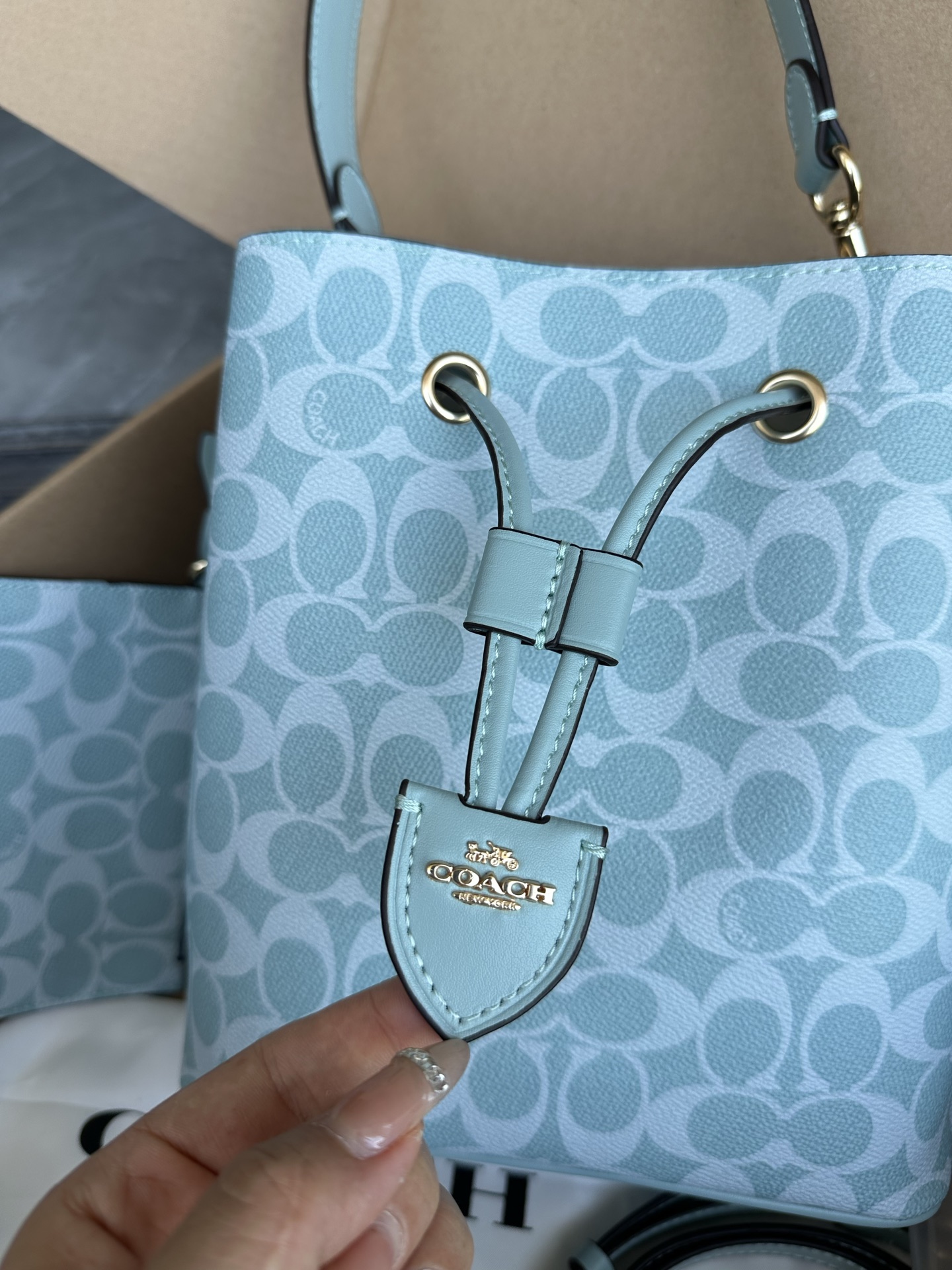 Women Handbag CEZ36 Rowan Bucket Bag In Signature Canvas