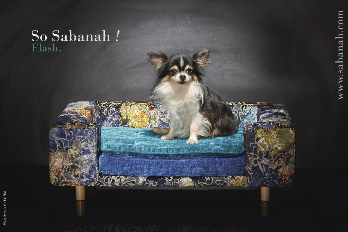 Canapé pour chien « Le Couture » Palace (Bleu ou Rose)