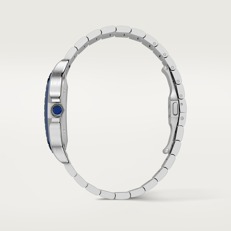 SANTOS DE CARTIER WATCH WSSA0048【1:1 Replica】