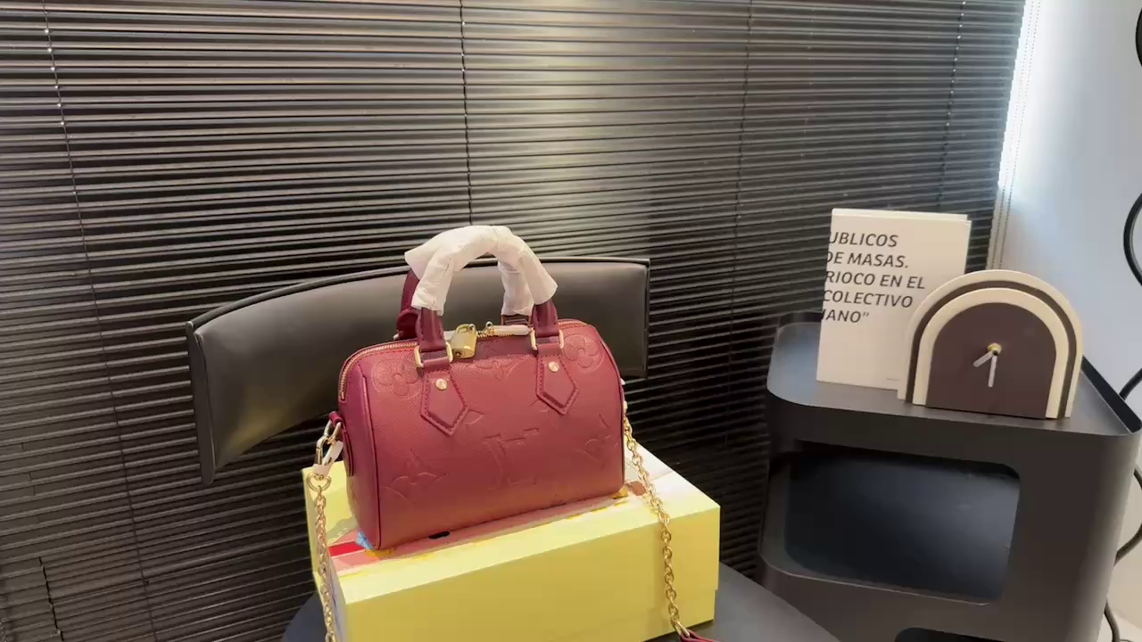 Lv Pillow Bag