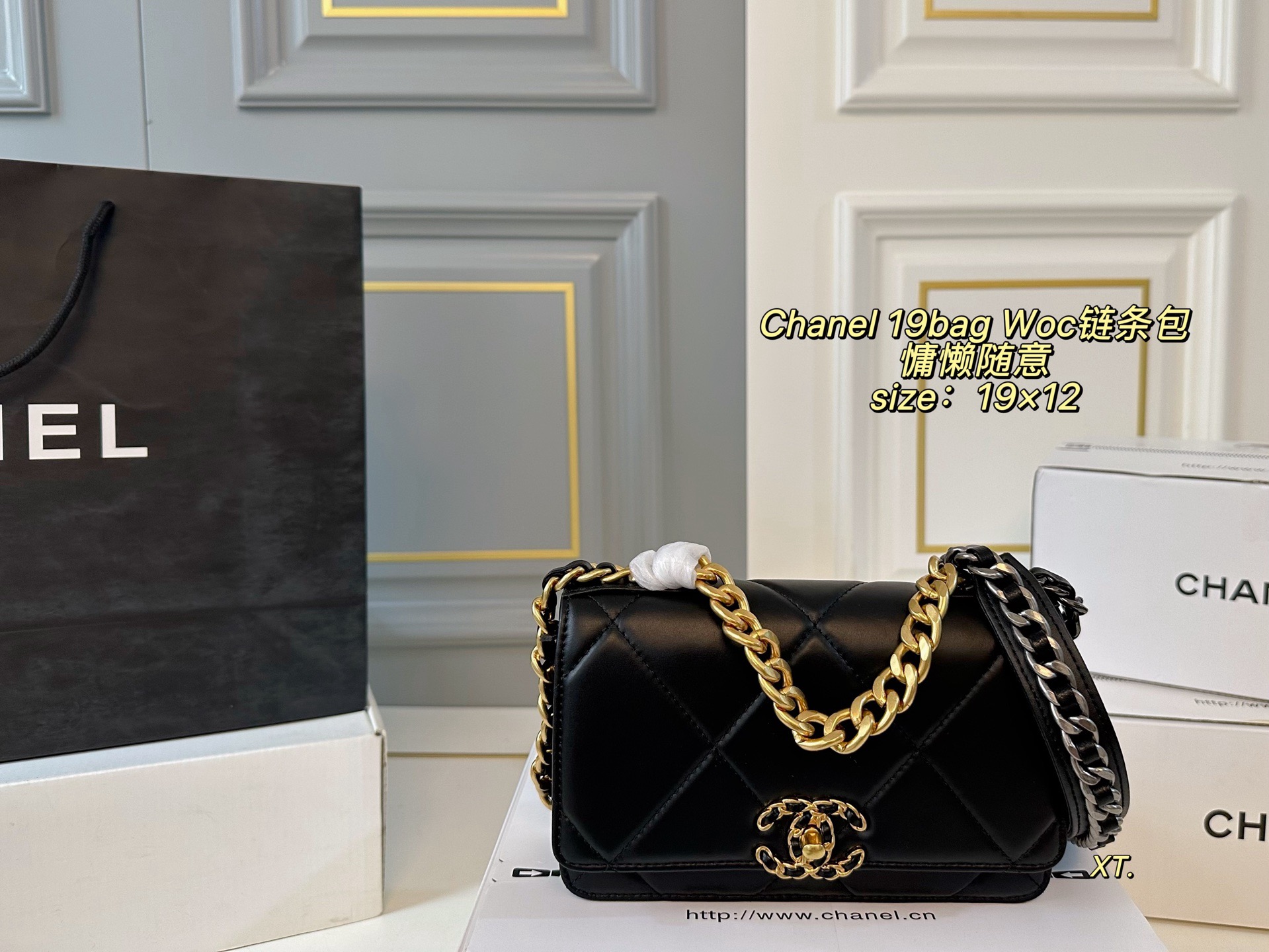Chanel 19 chain bag