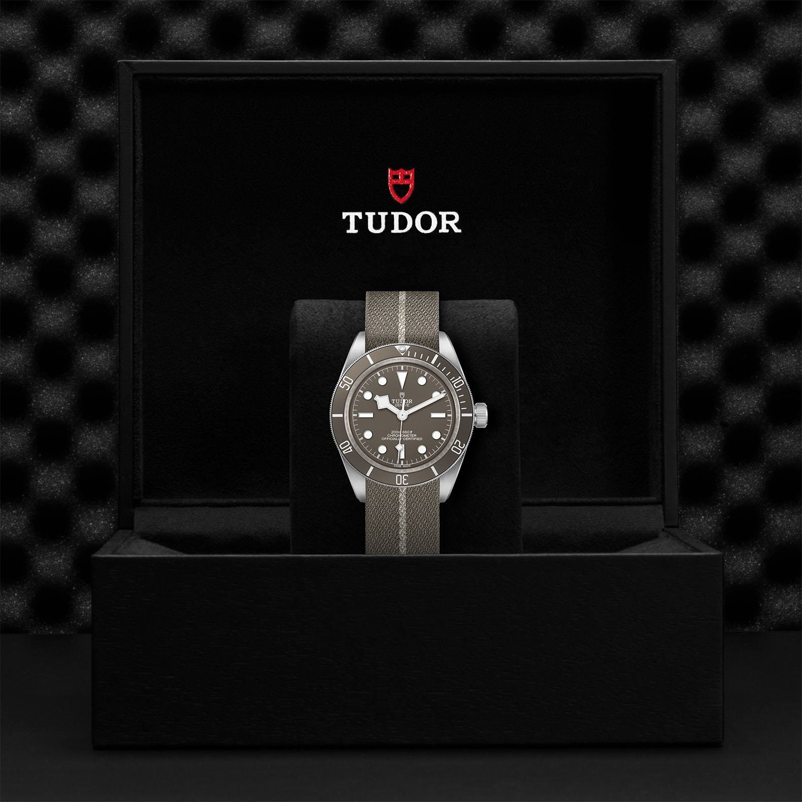 TUDOR Black Bay Fifty-Eight 925 39mm Silver【1:1 Replica】