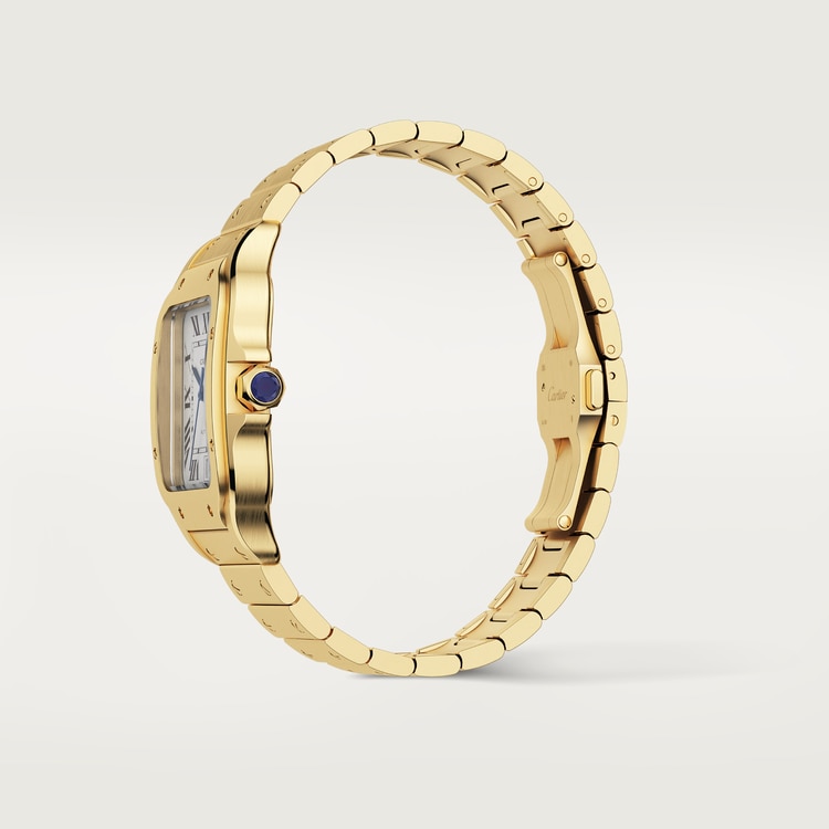SANTOS DE CARTIER WATCH WGSA0029【1:1 Replica】