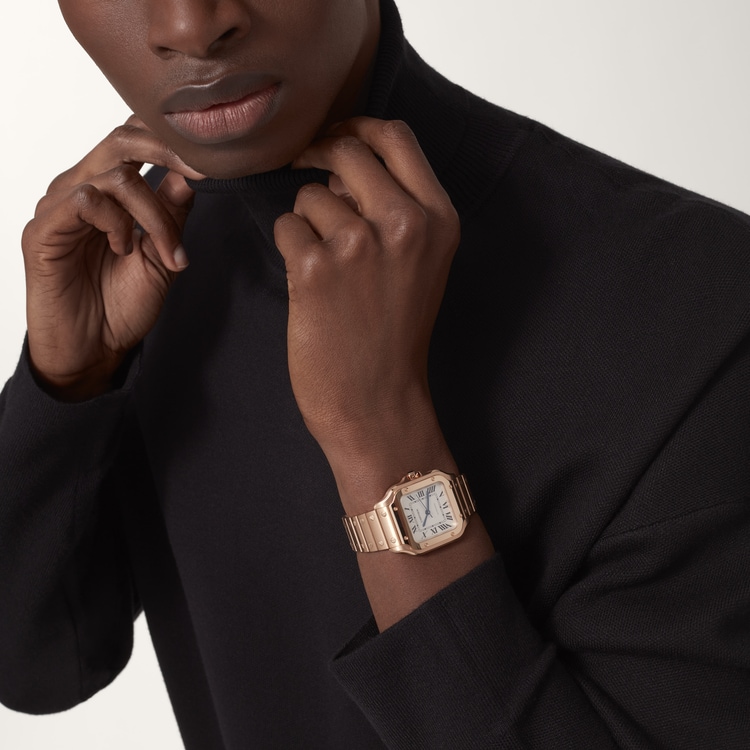 SANTOS DE CARTIER WATCH WGSA0031【1:1 Replica】