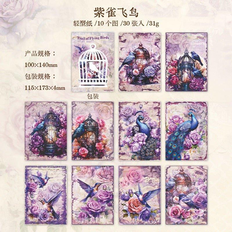 2117 Material Paper Birds of Prey Collection