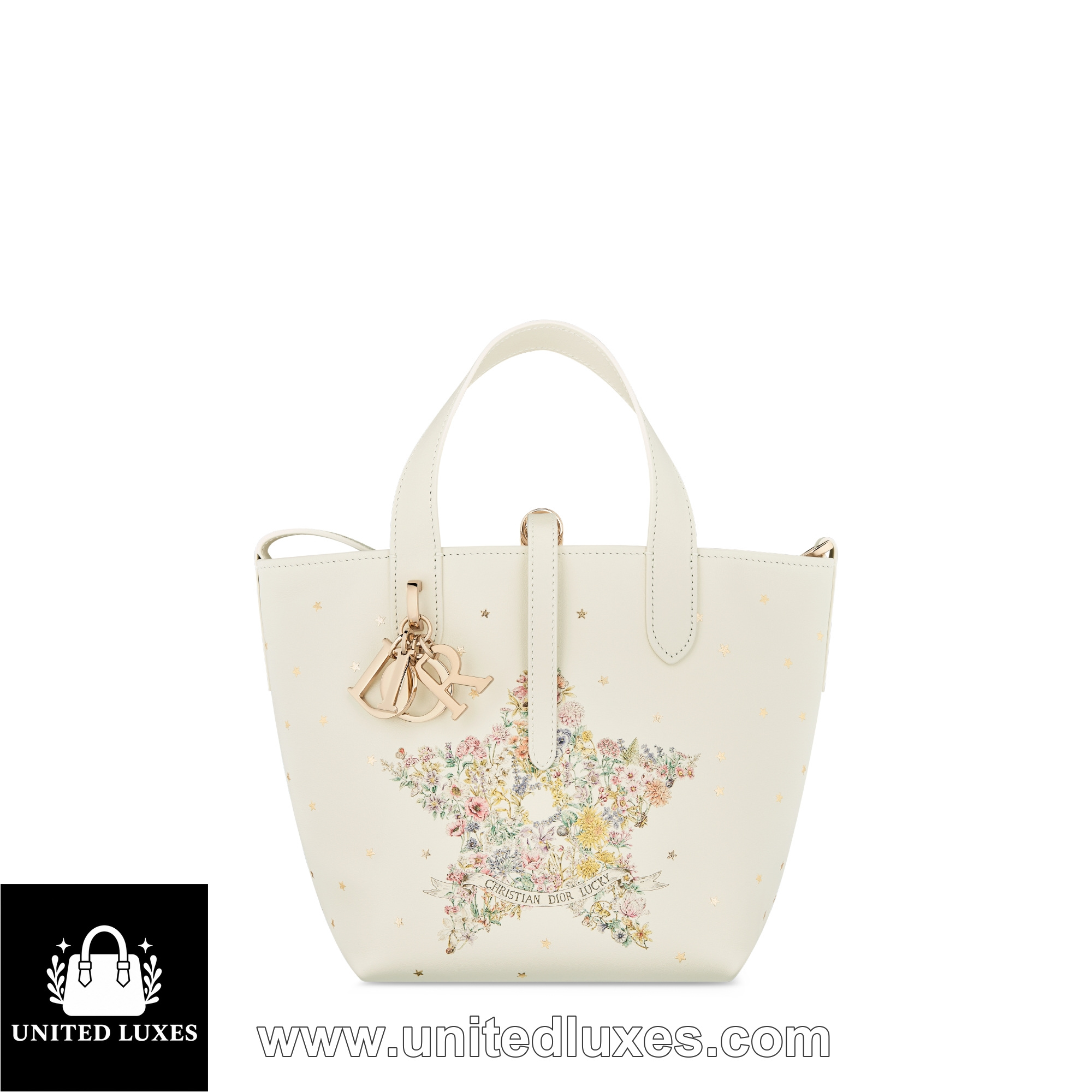 Replica Dior Lucky Small Dior Toujours Vertical Tote Bag