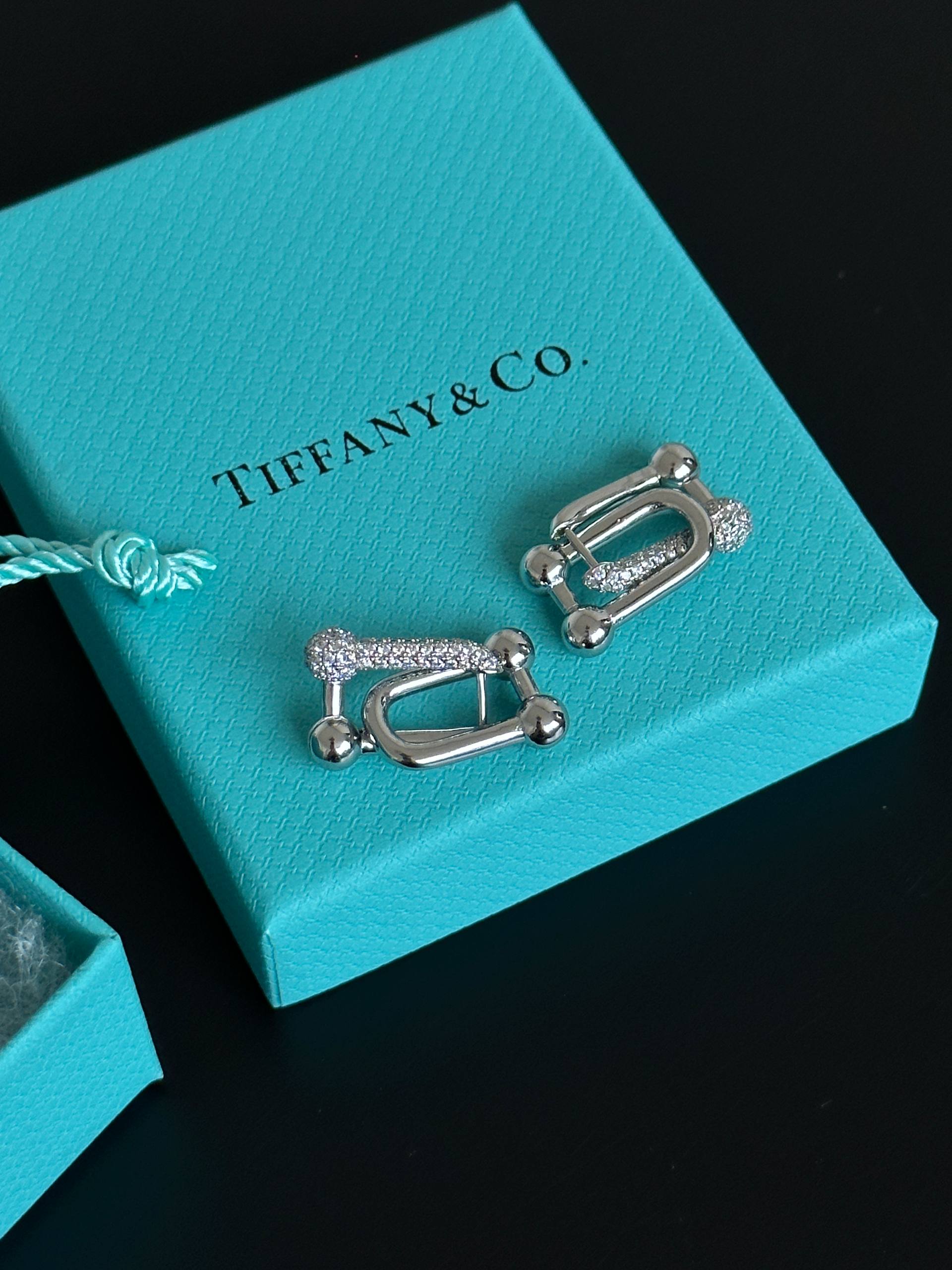 U Horseshoe Link Paved Crystal Ball Silver Ear Buckles