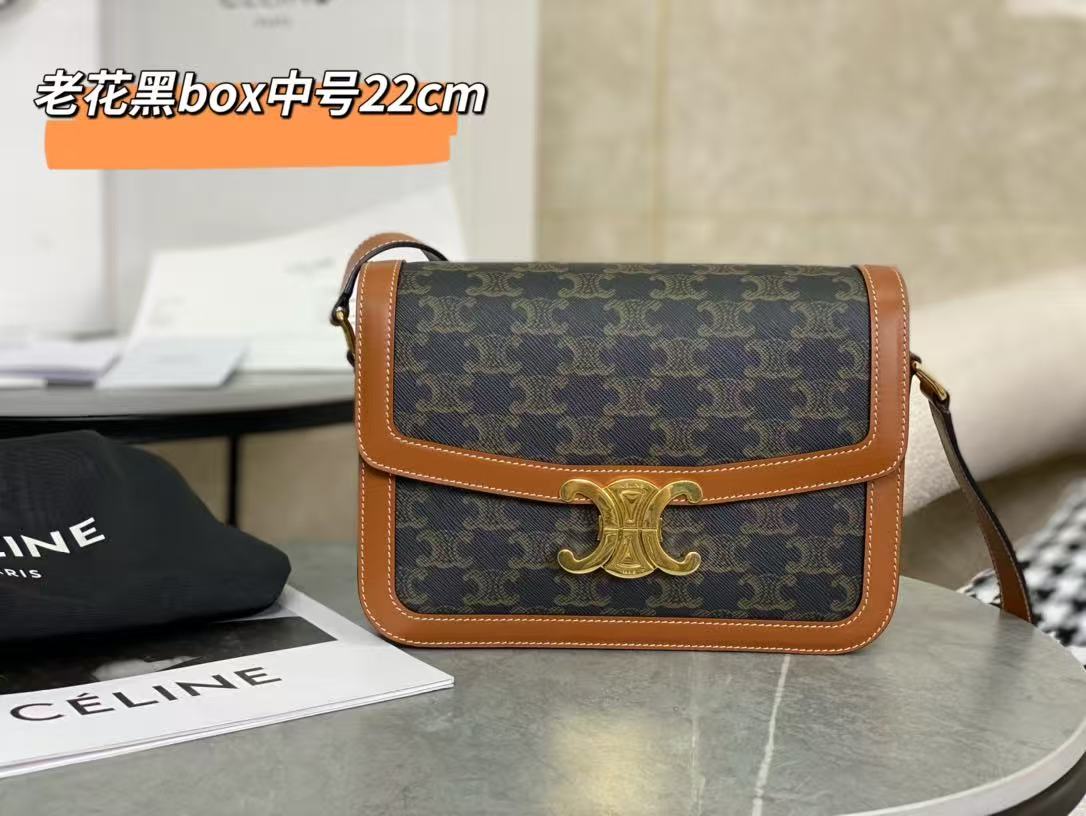 Celine Medium Triomphe Monogram Canvas Tote Bag