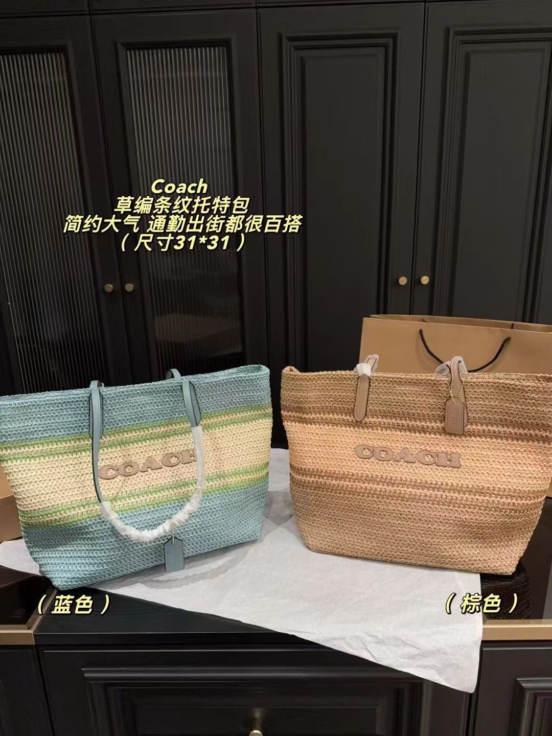 Women Handbag CES20 CER30 CBG87 City Tote Bag