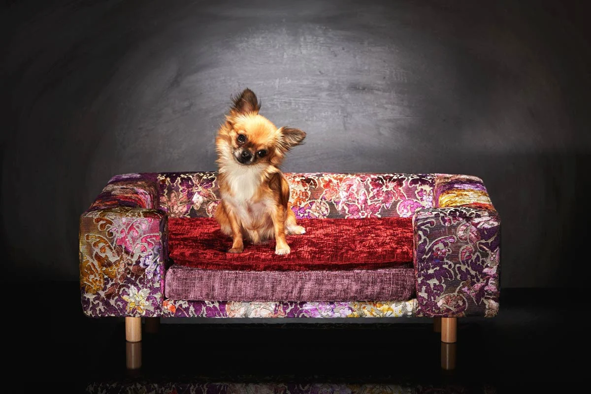 Canapé pour chien « Le Couture » Palace (Rose ou Bleu)