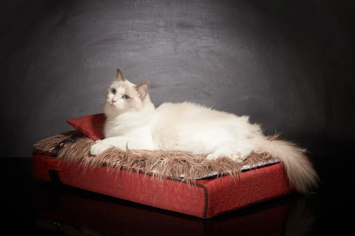 Lit pour chat « Inuit » rouge feu