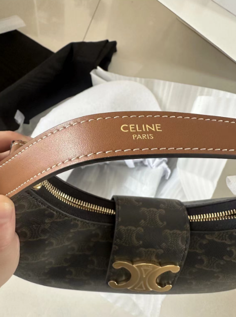 MEDIUM AVA TRIOMPHE BAG IN TRIOMPHECANVAS AND CALFSKIN