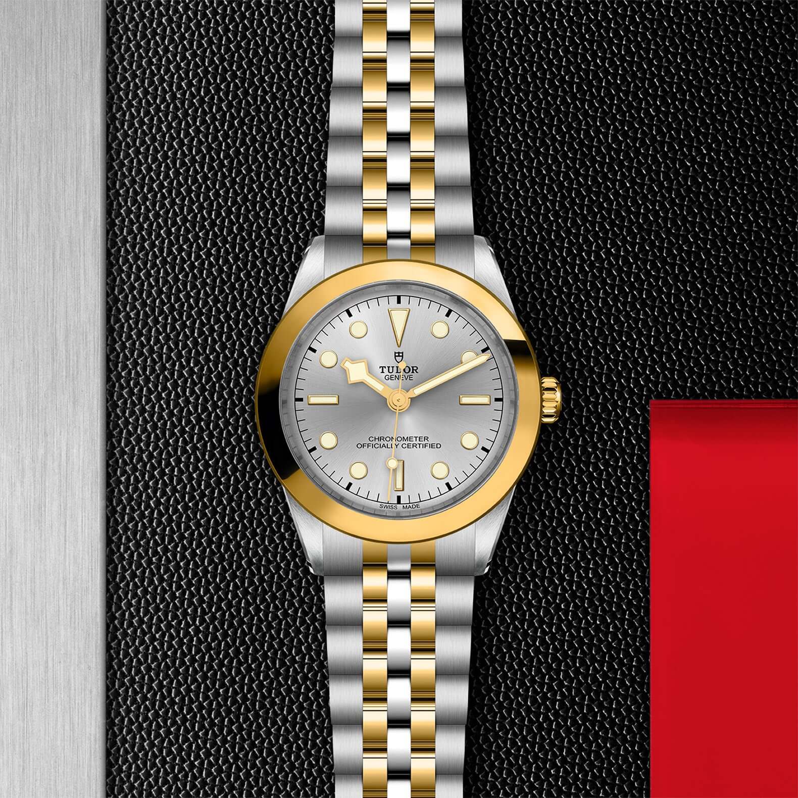 Tudor Black Bay 39 S&G【1:1 Replica】