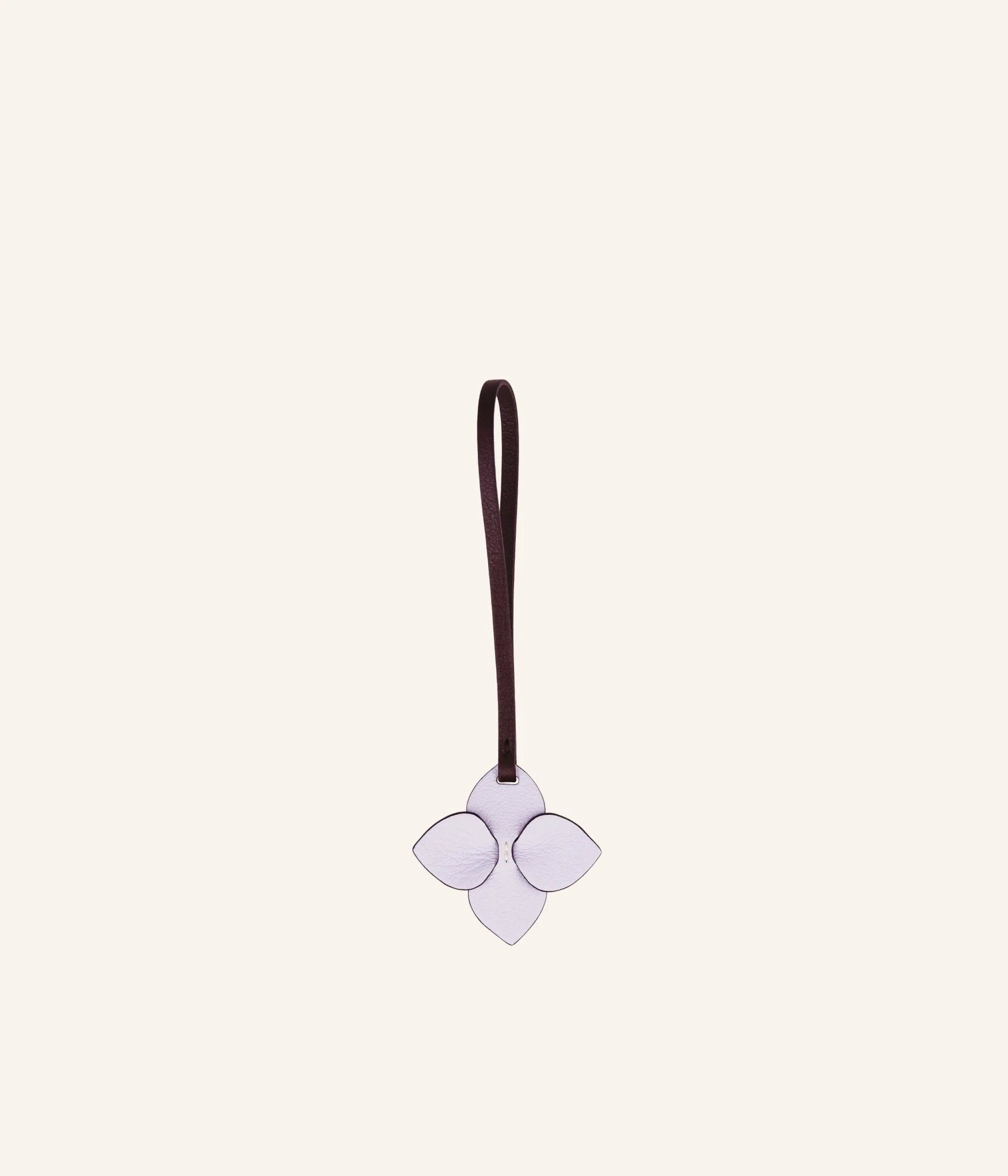 Mini Sia | Glycine