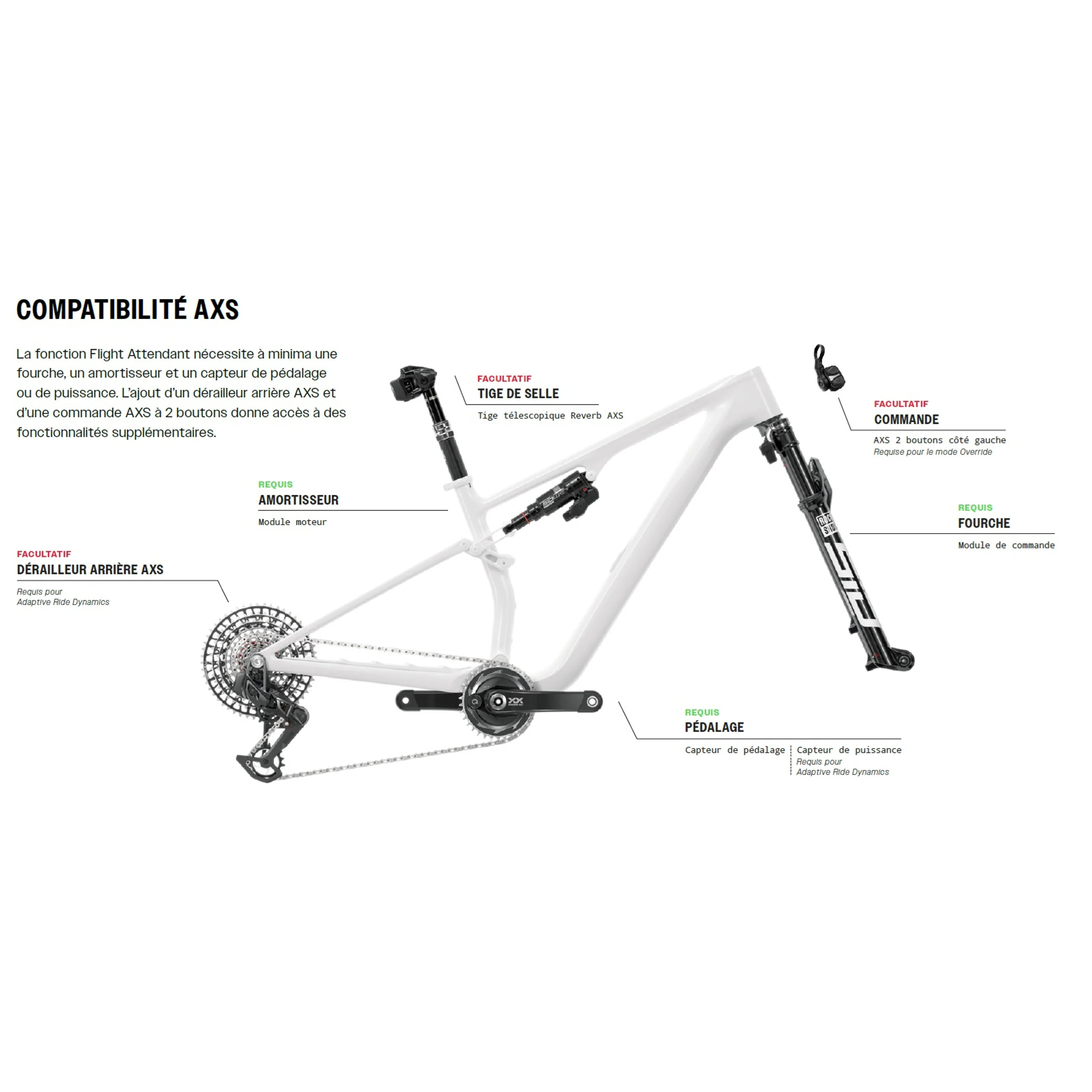 Amortisseur ROCKSHOX SIDLUXE ULTIMATE FLIGHT ATTENDANT Trunnion pour Canyon LuxWC 2023+