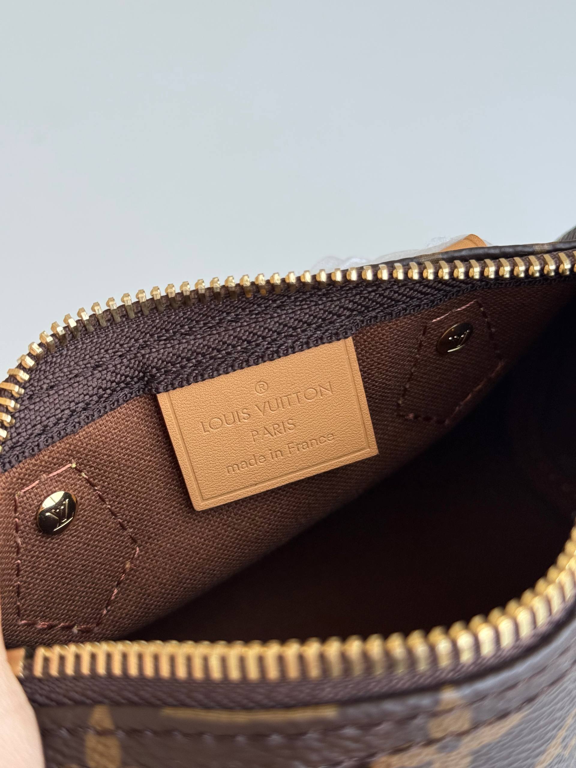 Louis Vuitton Speedy Nano