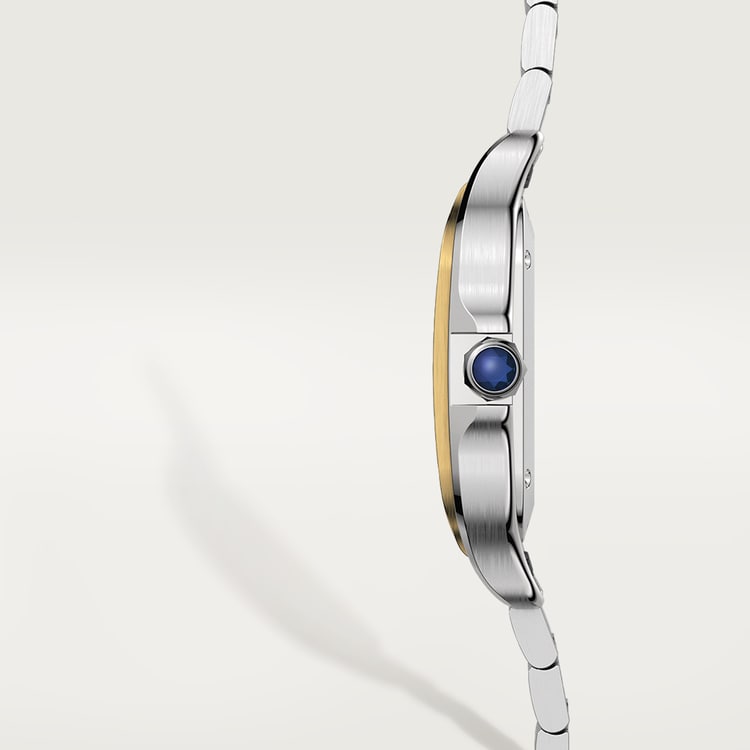 SANTOS DE CARTIER WATCH W2SA0016【1:1 Replica】