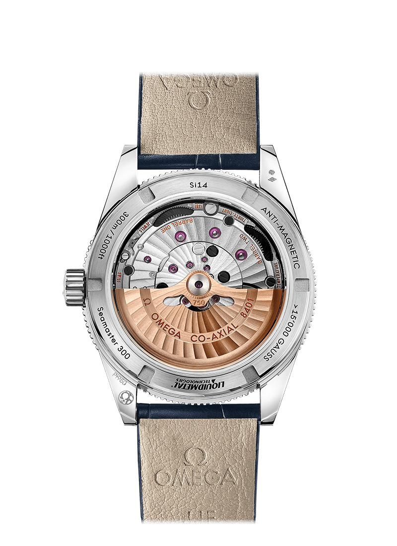 OMEGA SEAMASTER 300 MASTER CO‑AXIAL CHRONOMETER 41 MM 233.93.41.21.03.001