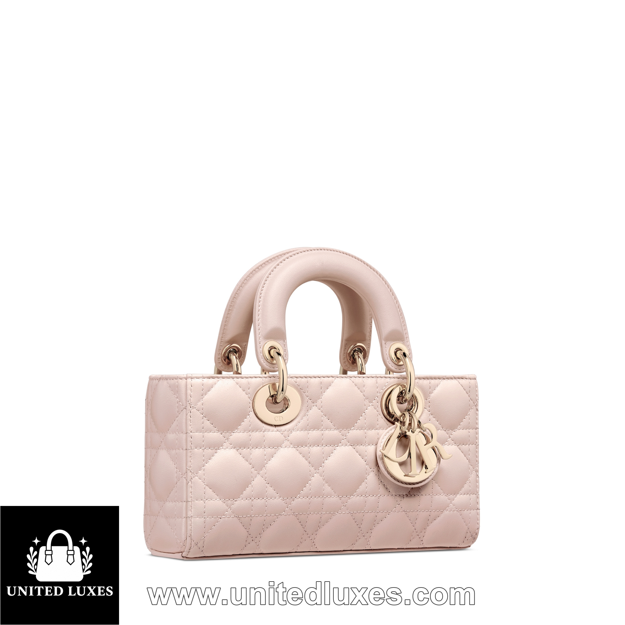 Replica Small Lady D-Joy Bag