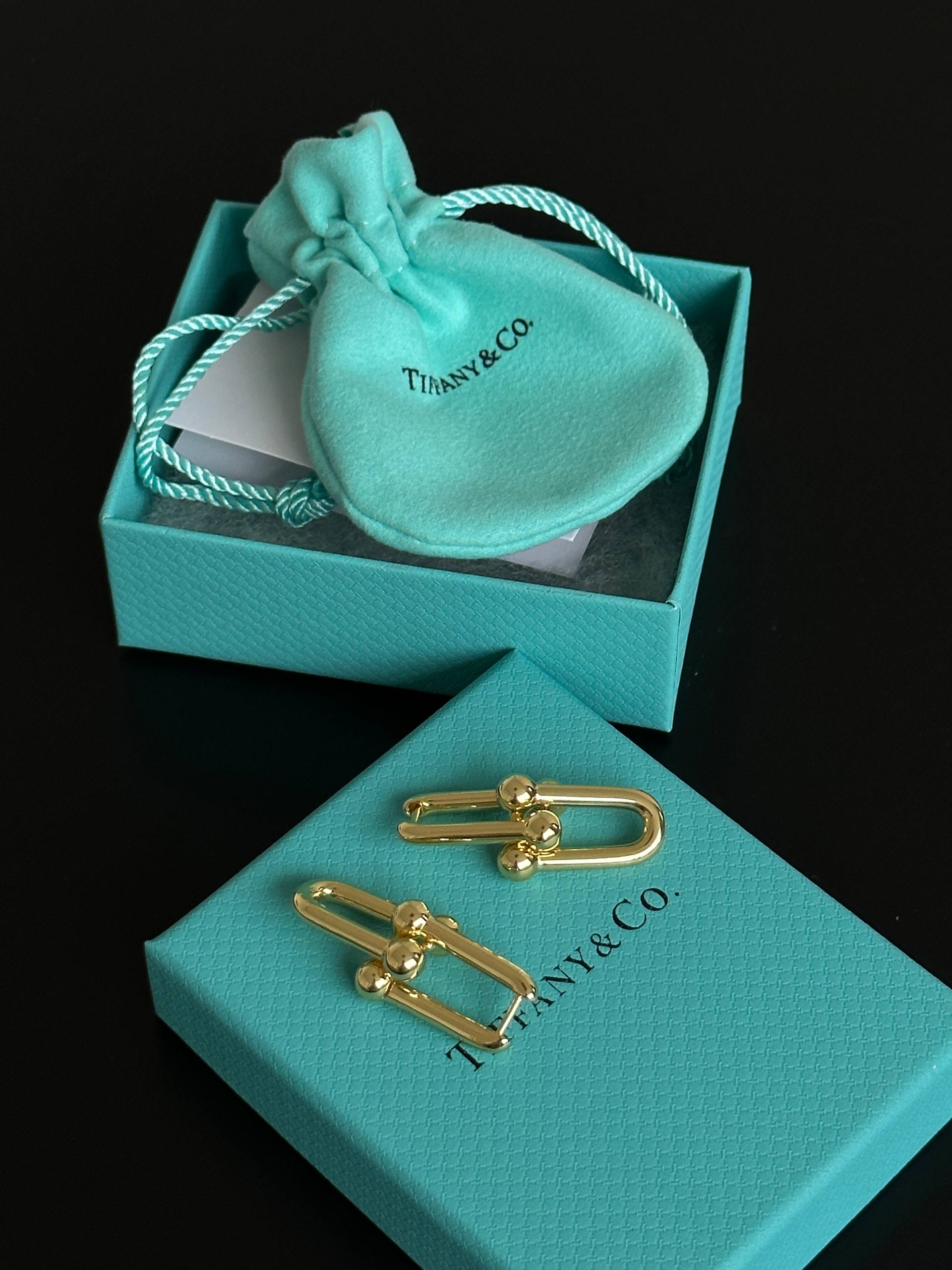 Tiffany & Co. HardWear Gold Double Link Hoop Earrings