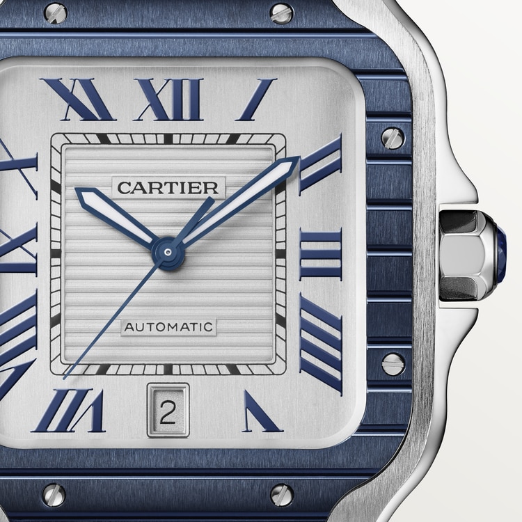 SANTOS DE CARTIER WATCH WSSA0047【1:1 Replica】