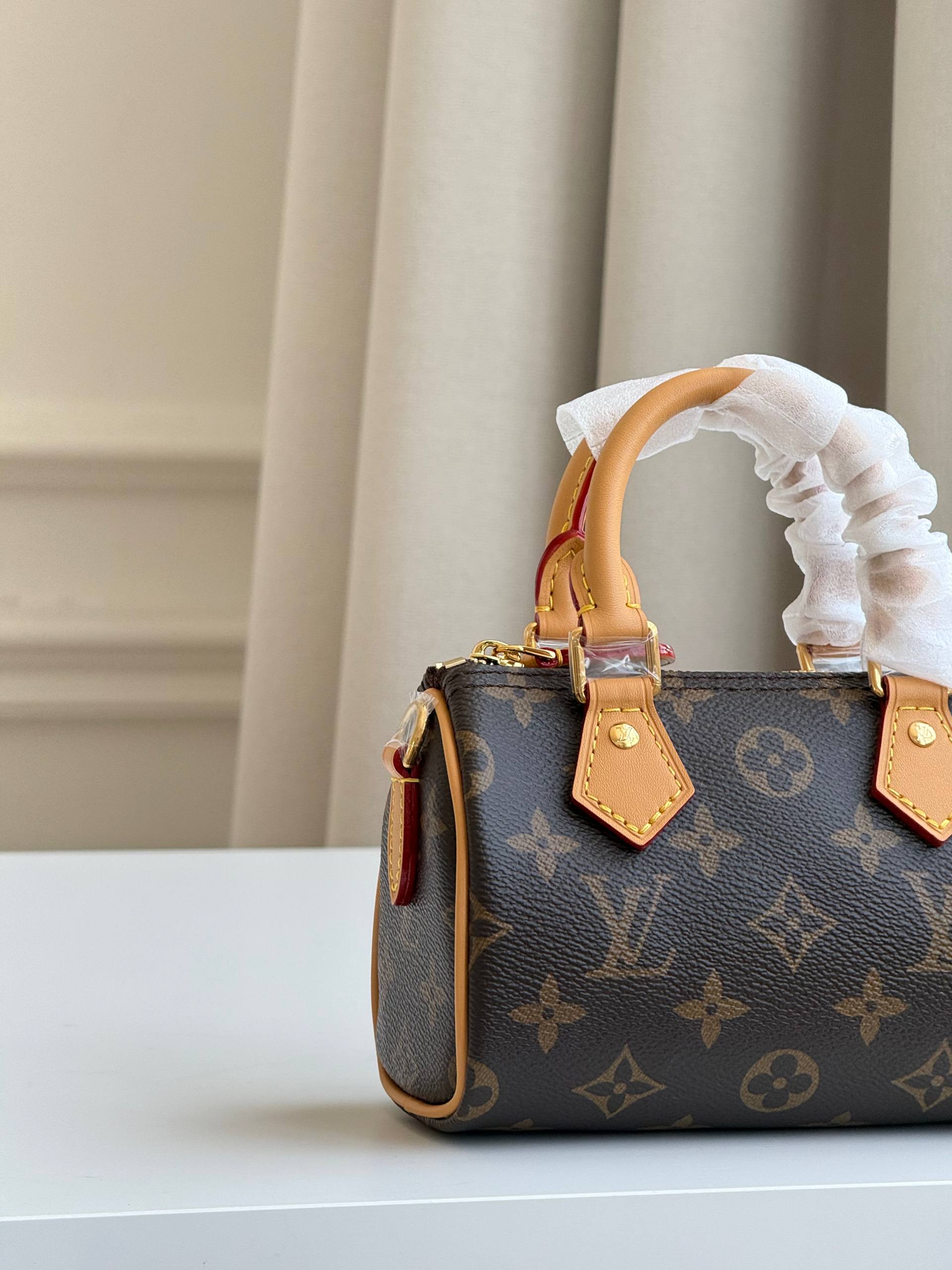 Louis Vuitton Speedy Nano