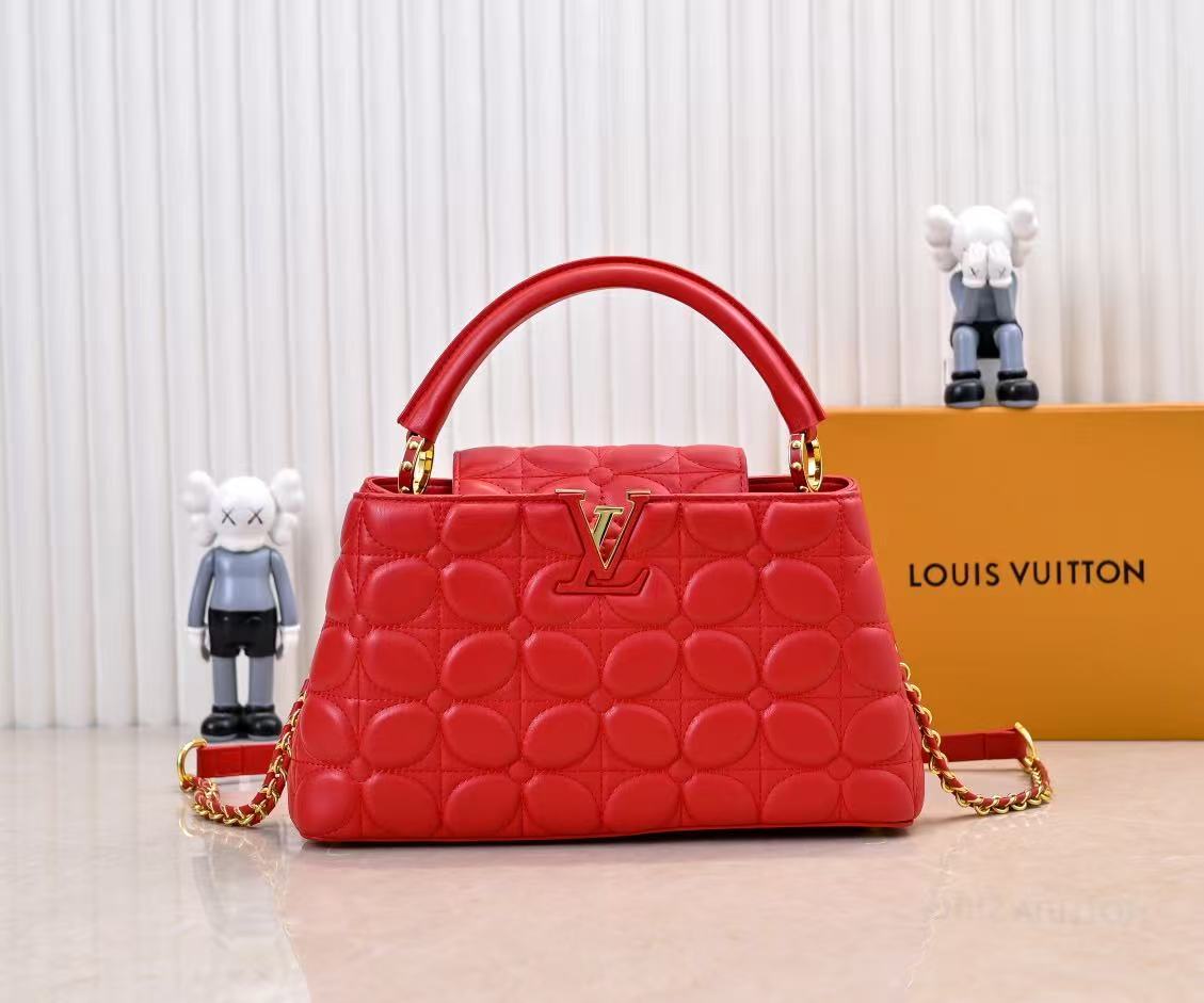 LV Monogram Embroidered Bag