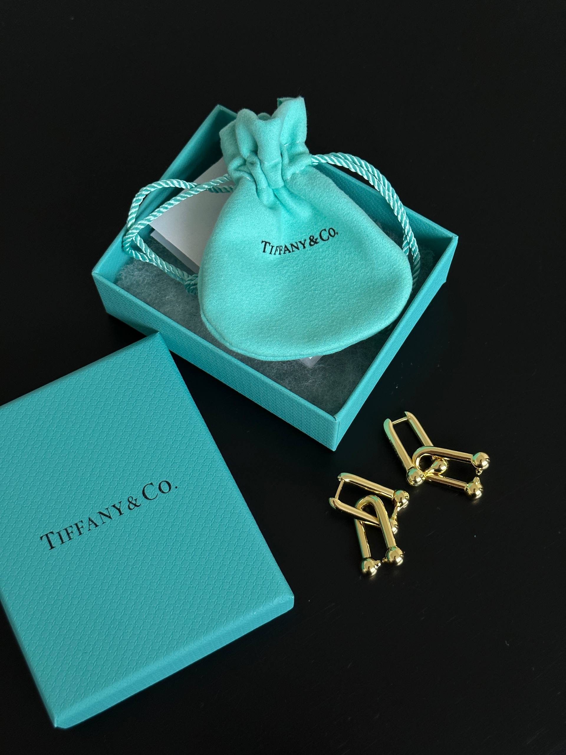 Tiffany & Co. HardWear Gold Double Link Hoop Earrings