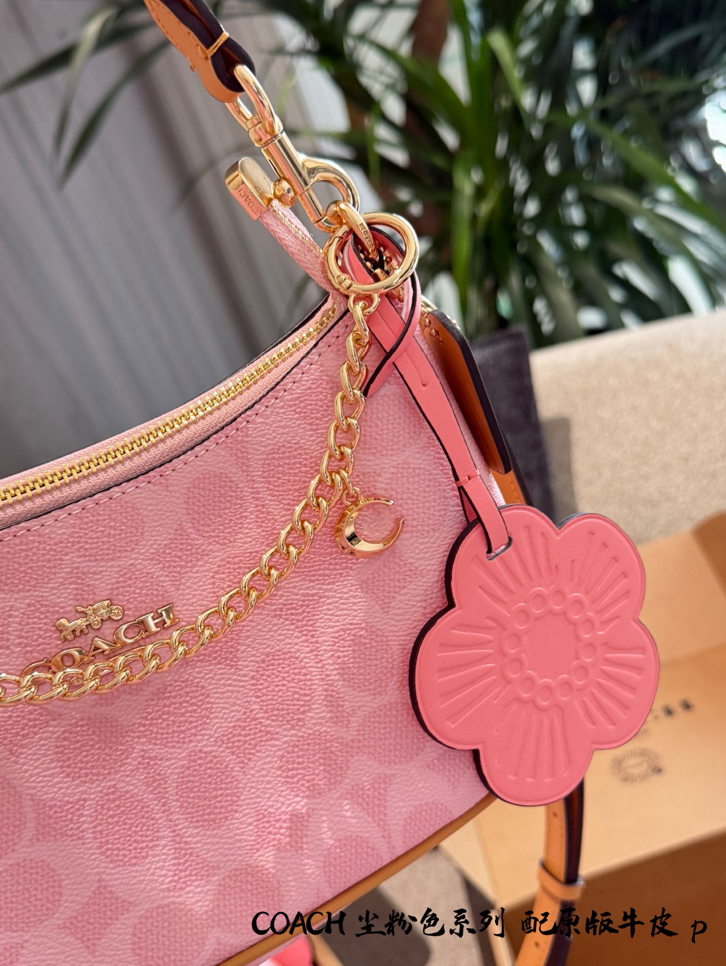 Women Handbag CEA20 Teri Shoulder Bag In Signature Canvas With Charms