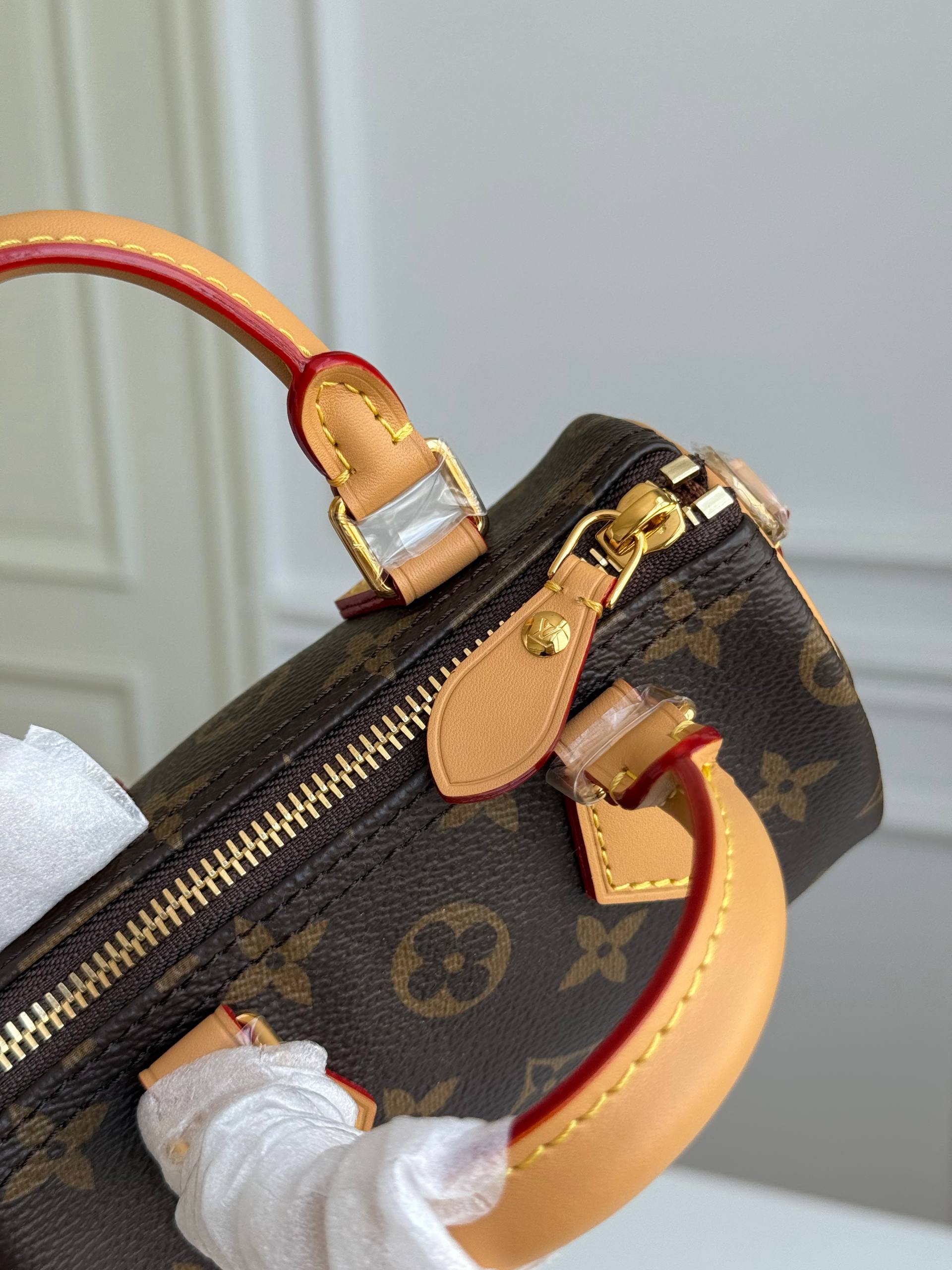 Louis Vuitton Nano Speedy