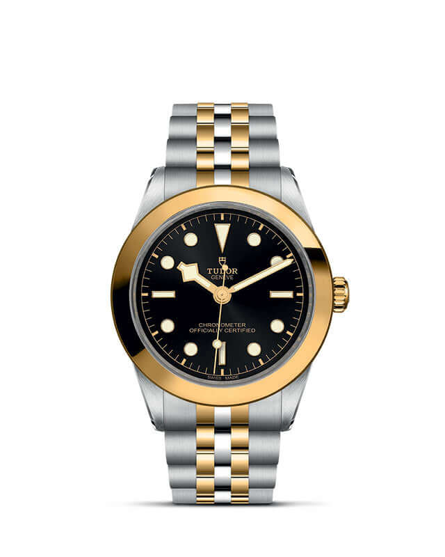 Tudor Black Bay 39 S&G【1:1 Replica】
