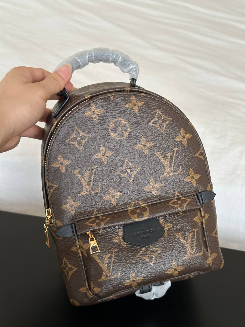 Louis Vuitton Monogram Mini Palm Springs Backpack