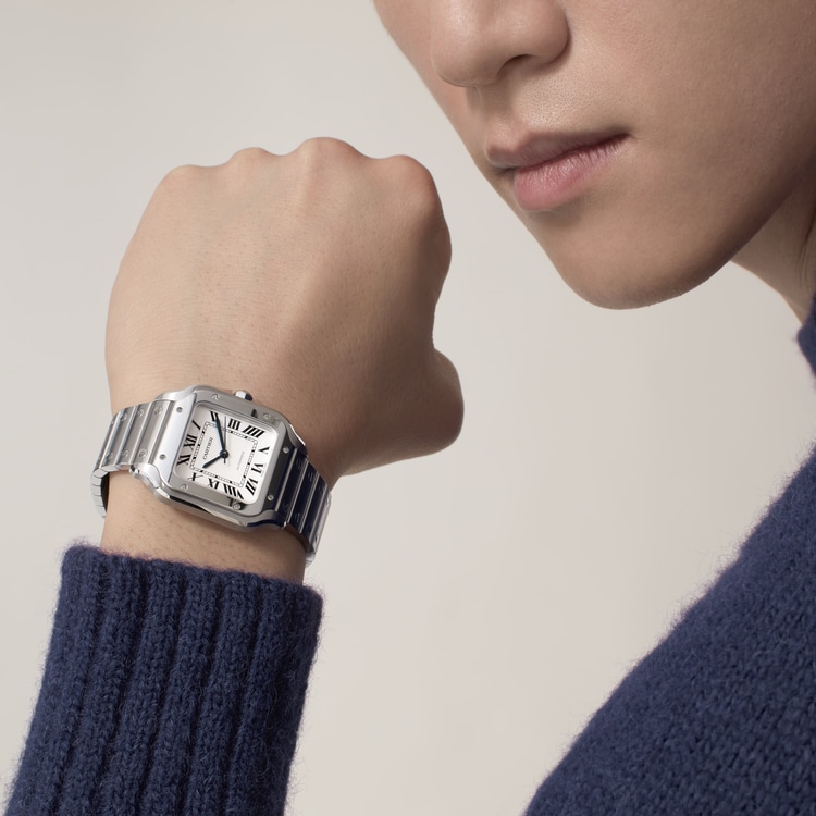 SANTOS DE CARTIER WATCH WSSA0029【1:1 Replica】