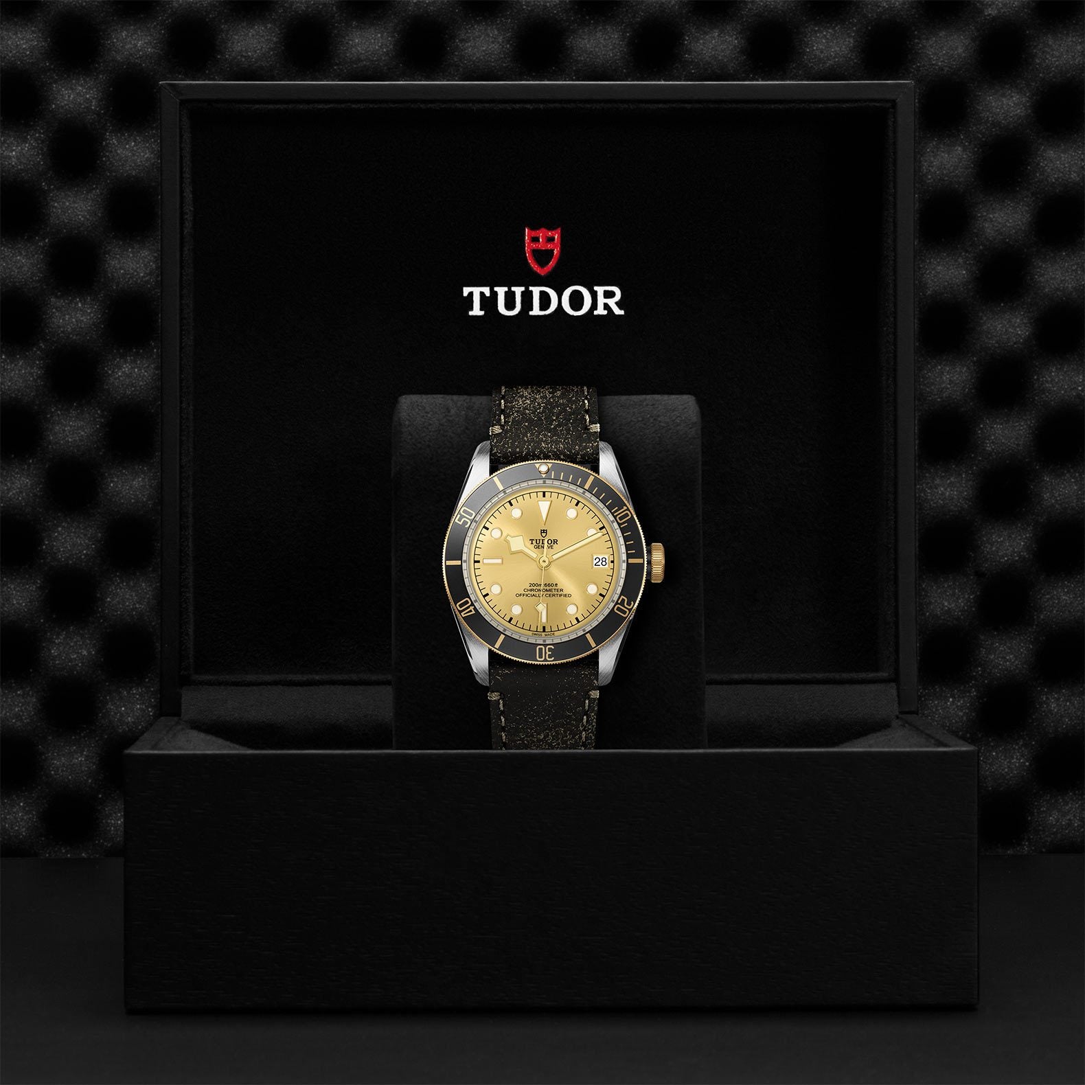 TUDOR Black Bay S&G 41mm Steel and Gold【1:1 Replica】