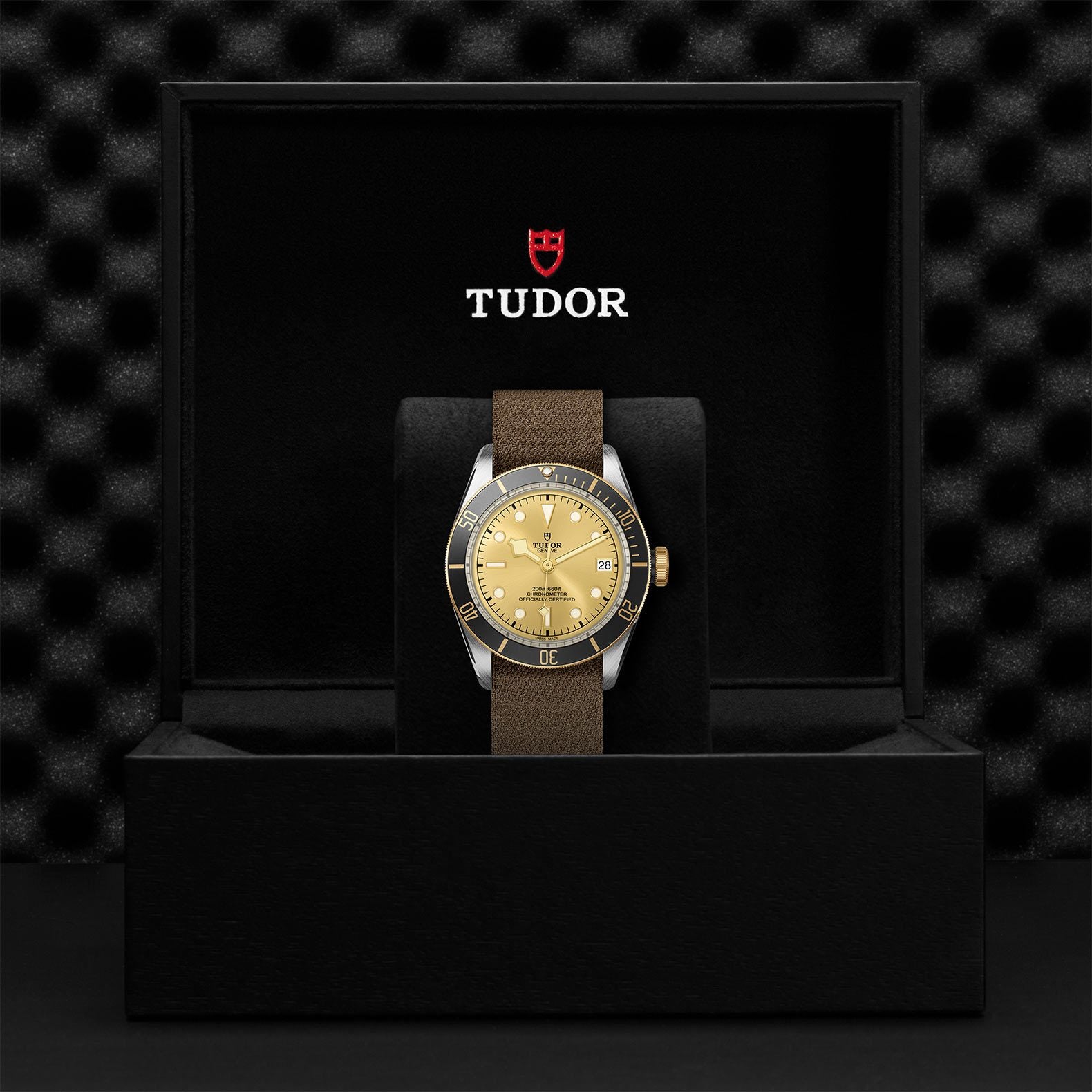 TUDOR Black Bay S&G 41mm Steel and Gold【1:1 Replica】