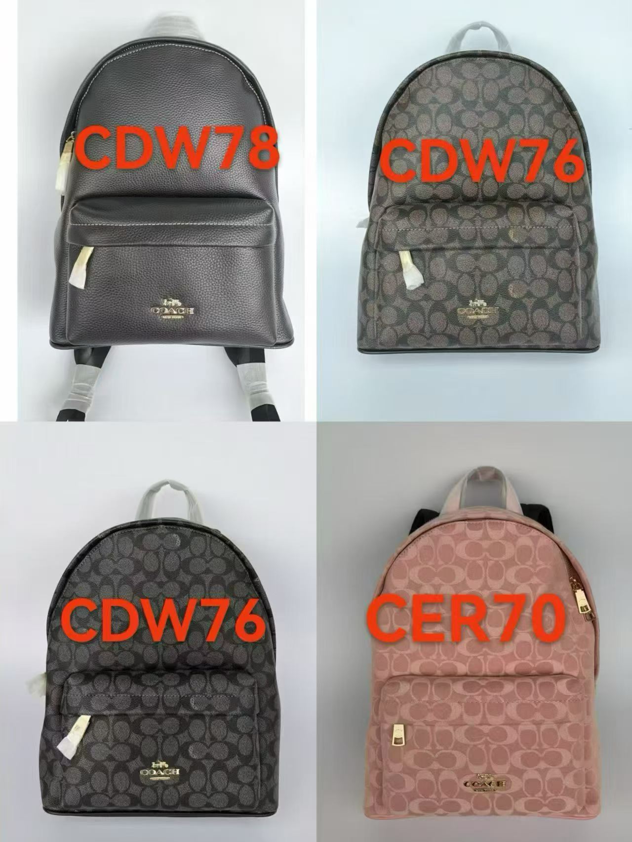 Women Handbag CDW76 CDW78 CER70 Taylor Small Backpack In Signature Canvas