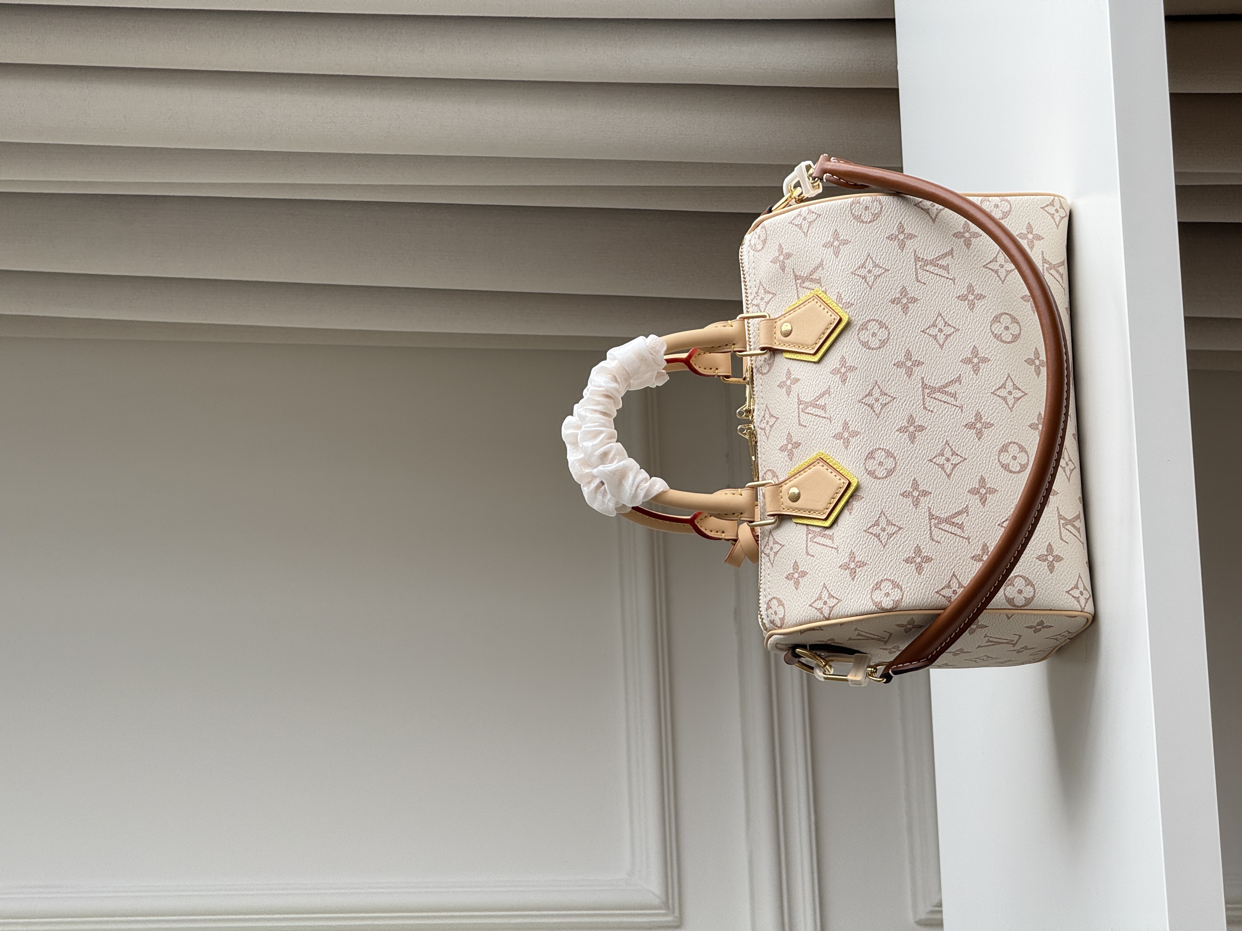 Louis Vuitton Speedy 25 Dune Monogram Pillow Bag