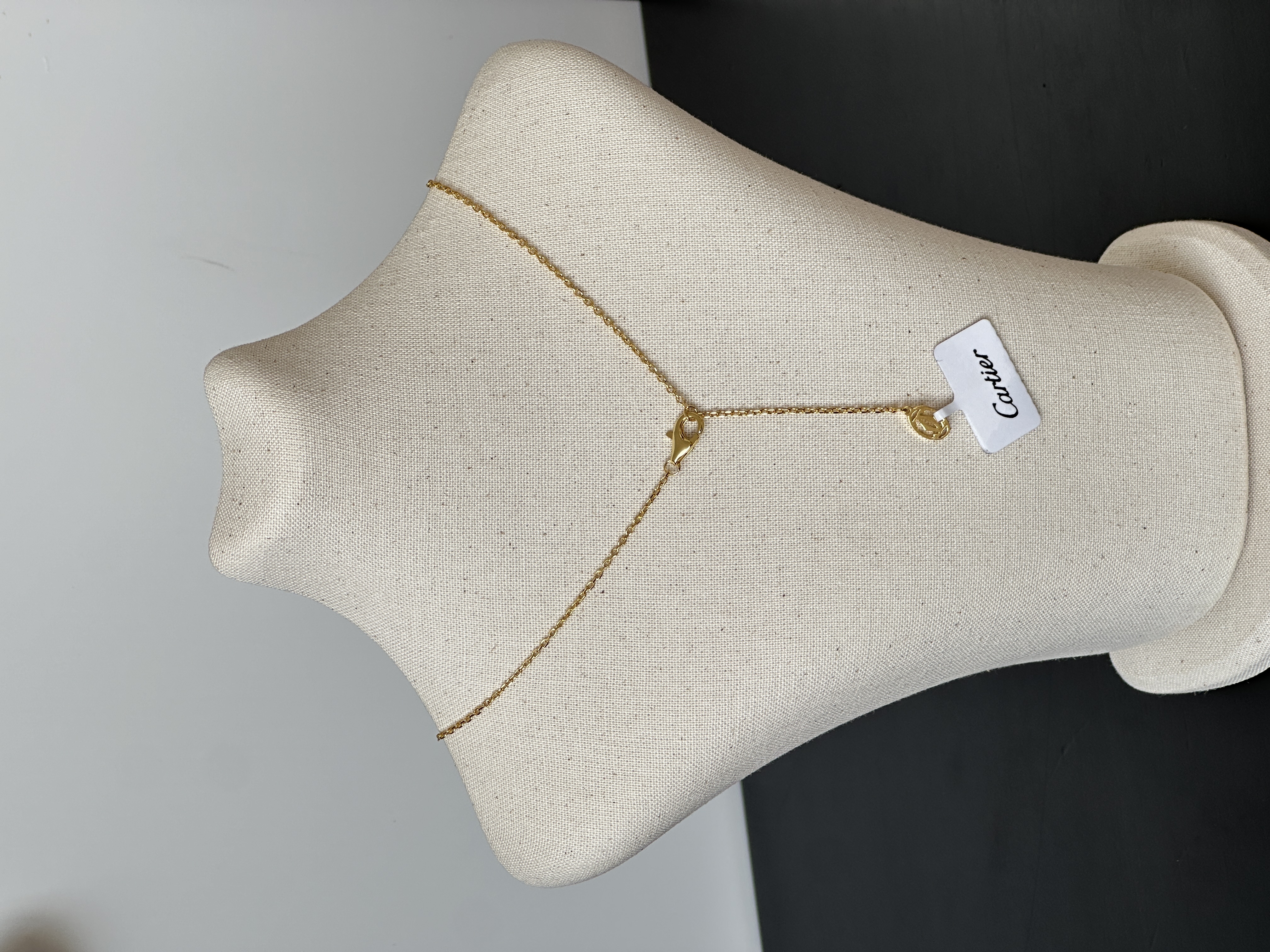 Interlocking Double Rings Gold Clavicle Necklace