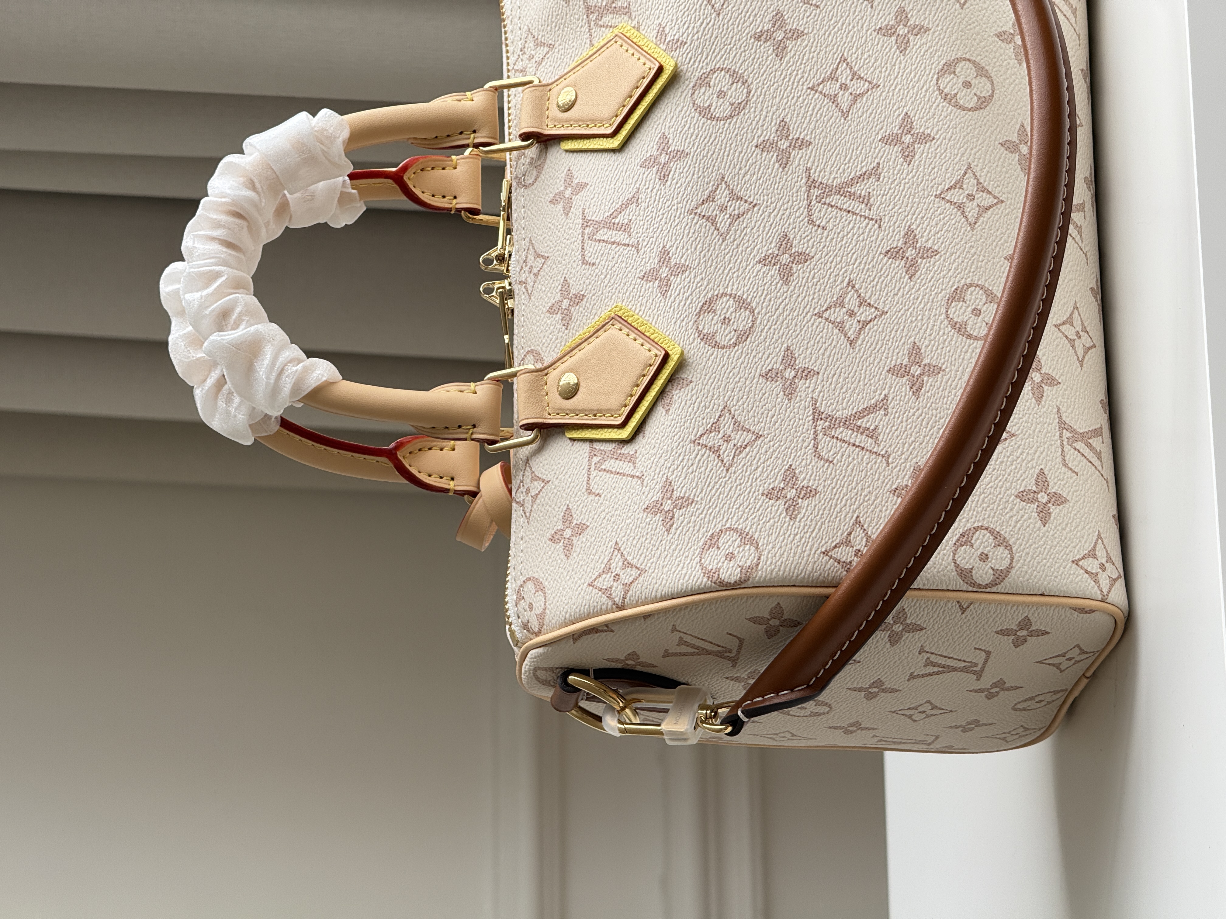 Louis Vuitton Speedy 25 Dune Monogram Pillow Bag
